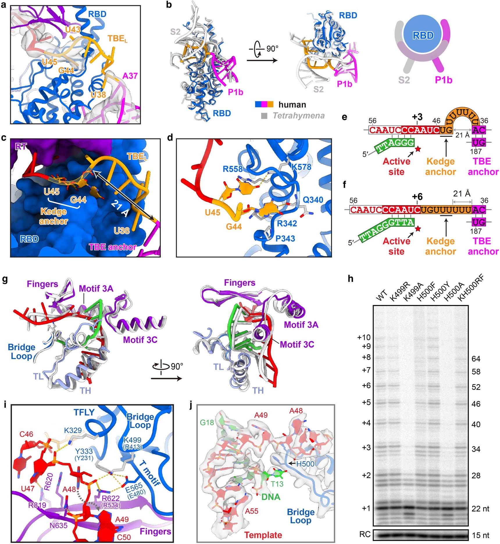 Extended Data Fig. 8
