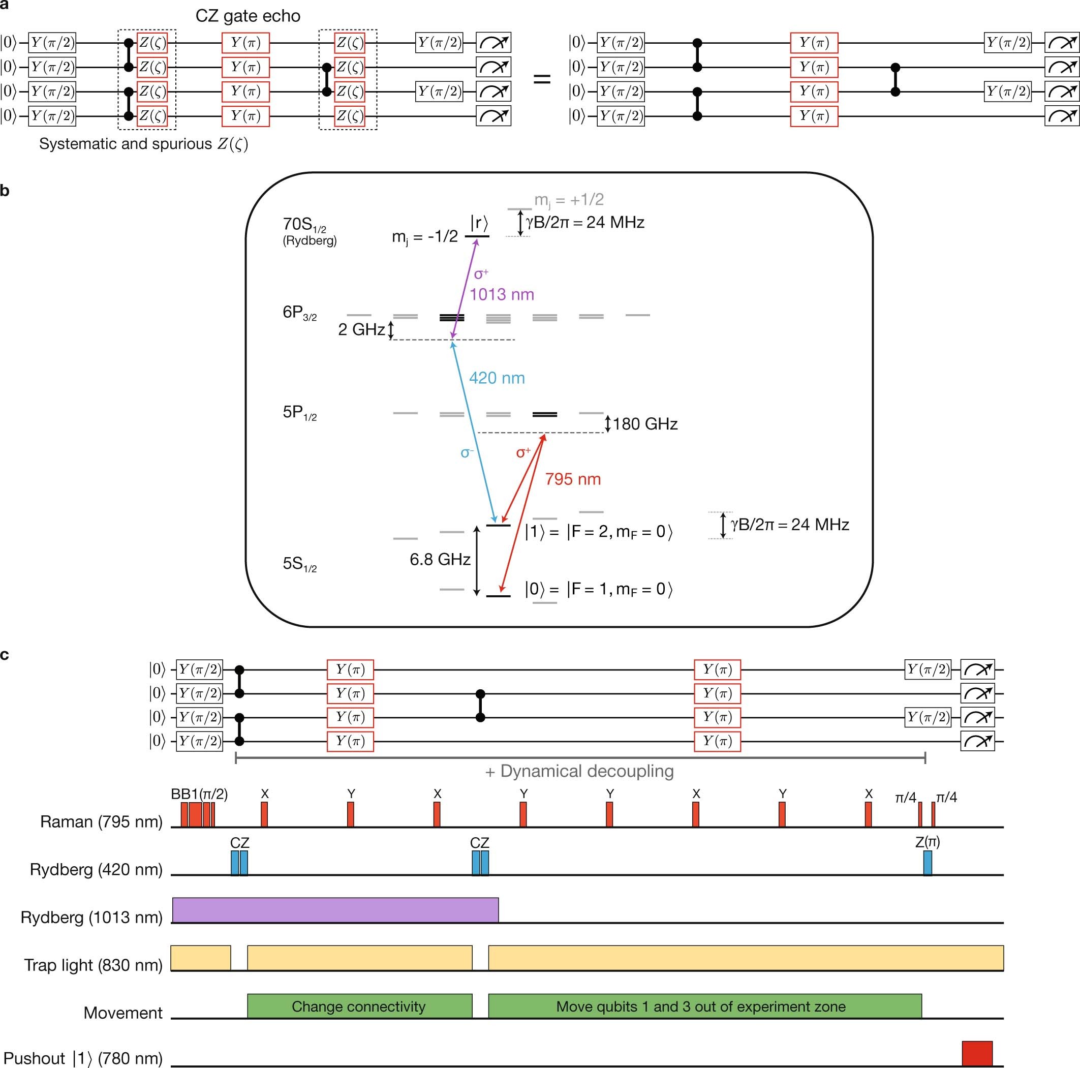 Extended Data Fig. 1: CZ gate echo, atomic level structure, and typical pulse sequence.