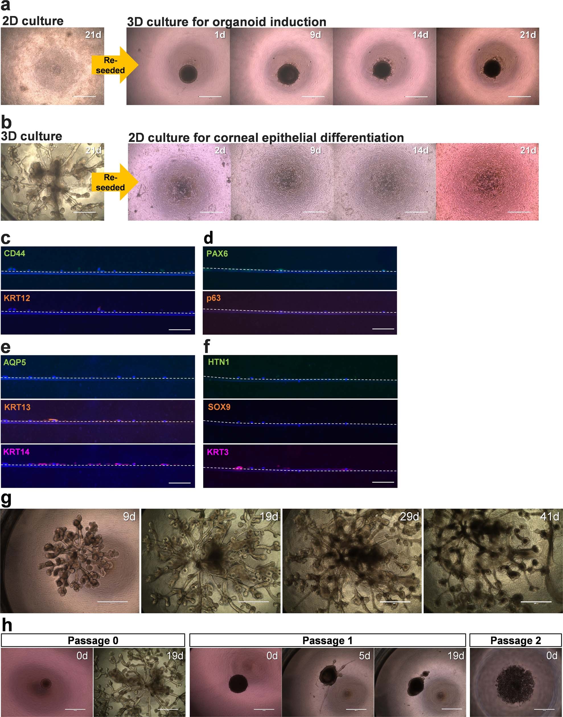 Extended Data Fig. 7
