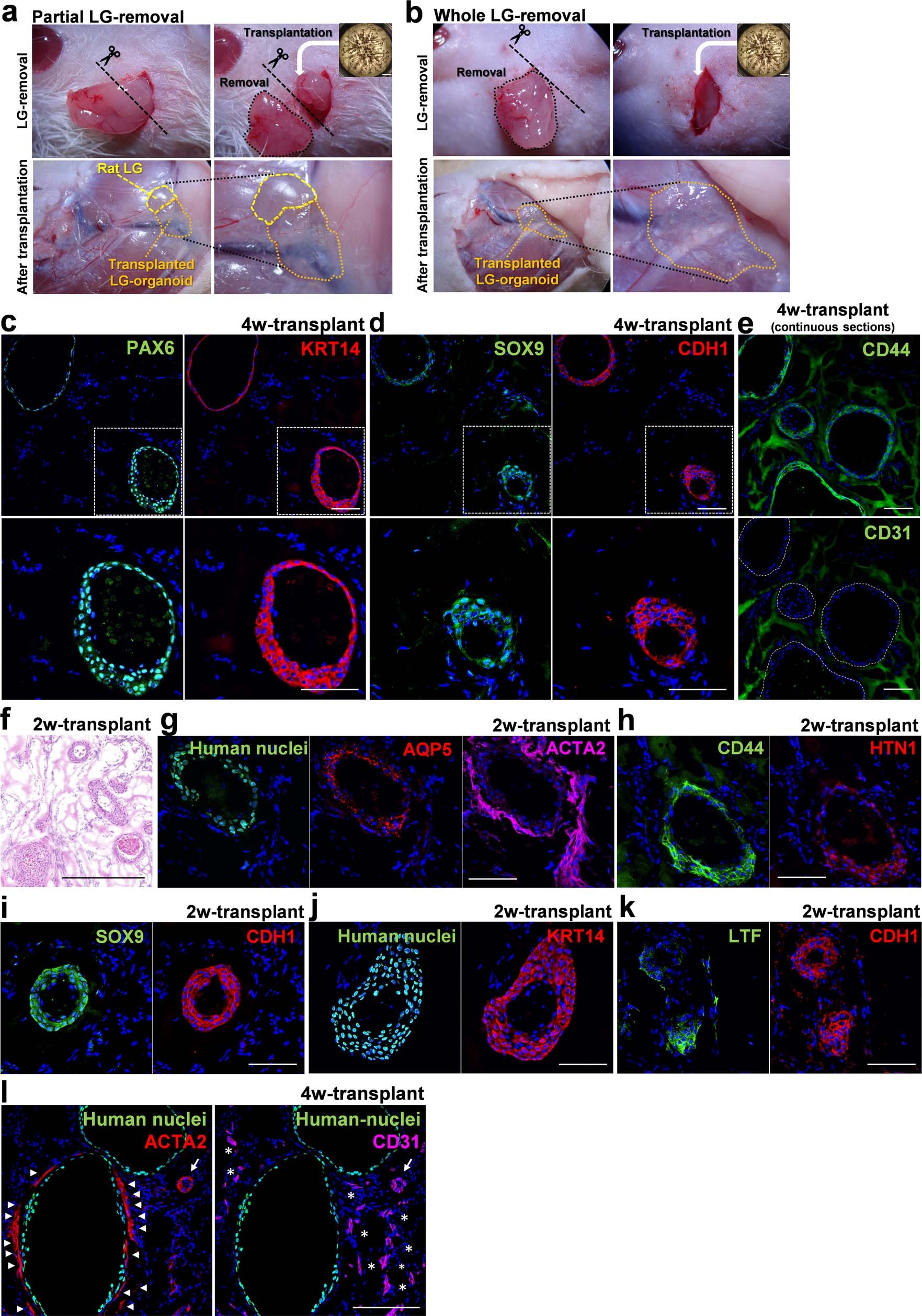 Extended Data Fig. 8