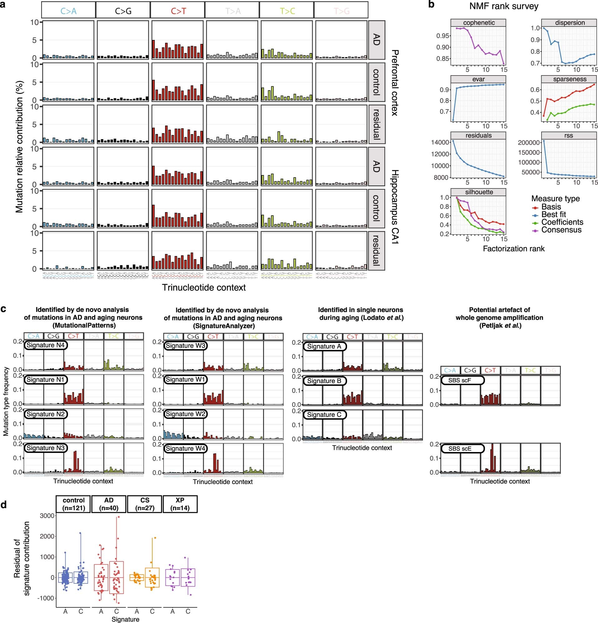 Extended Data Fig. 5: Somatic mutation trinucleotide context profiles and signature derivation in MDA-amplified single-neuron genomes.