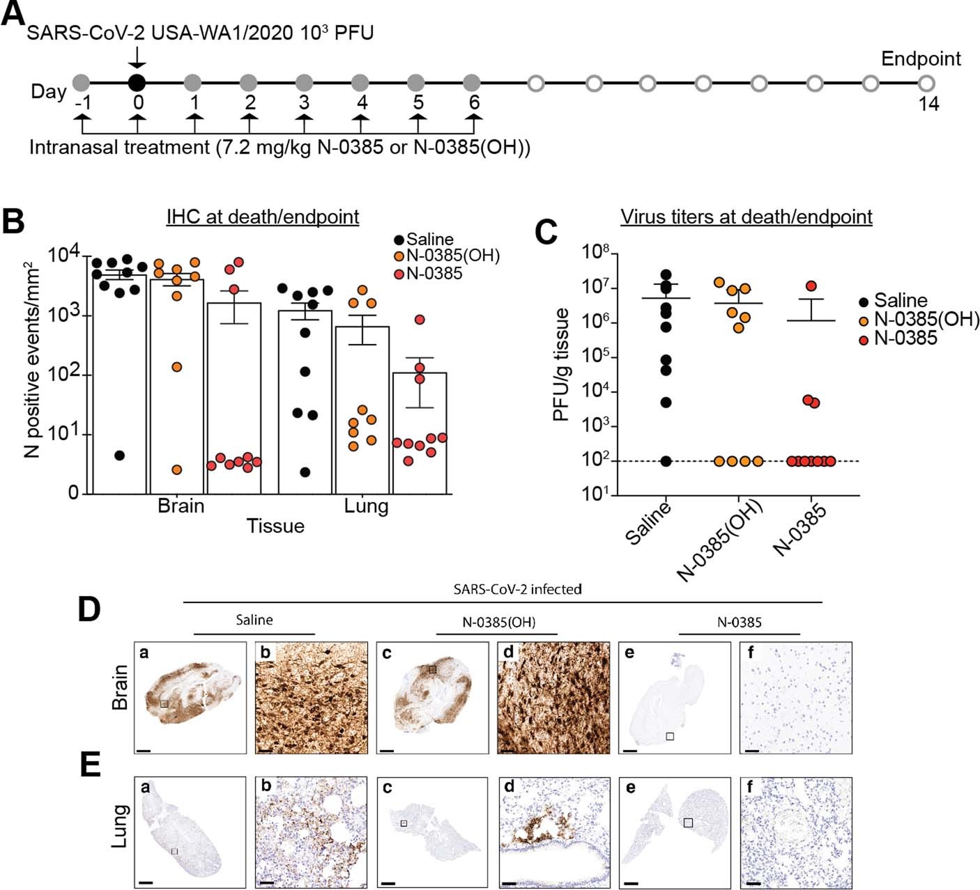 Extended Data Fig. 5