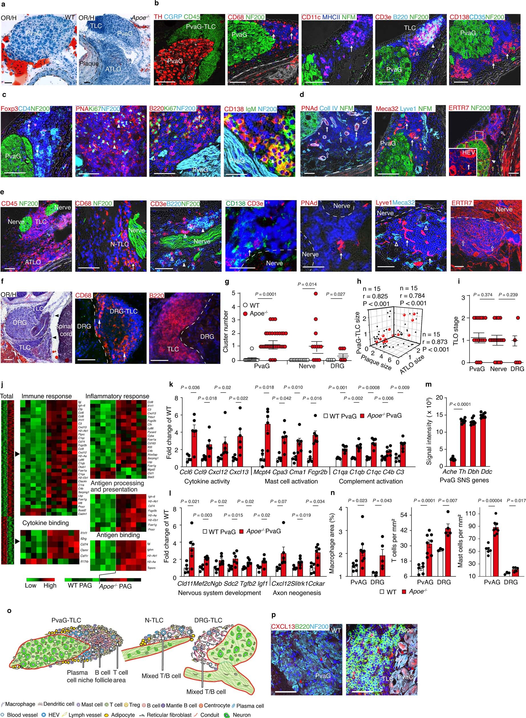 Extended Data Fig. 6