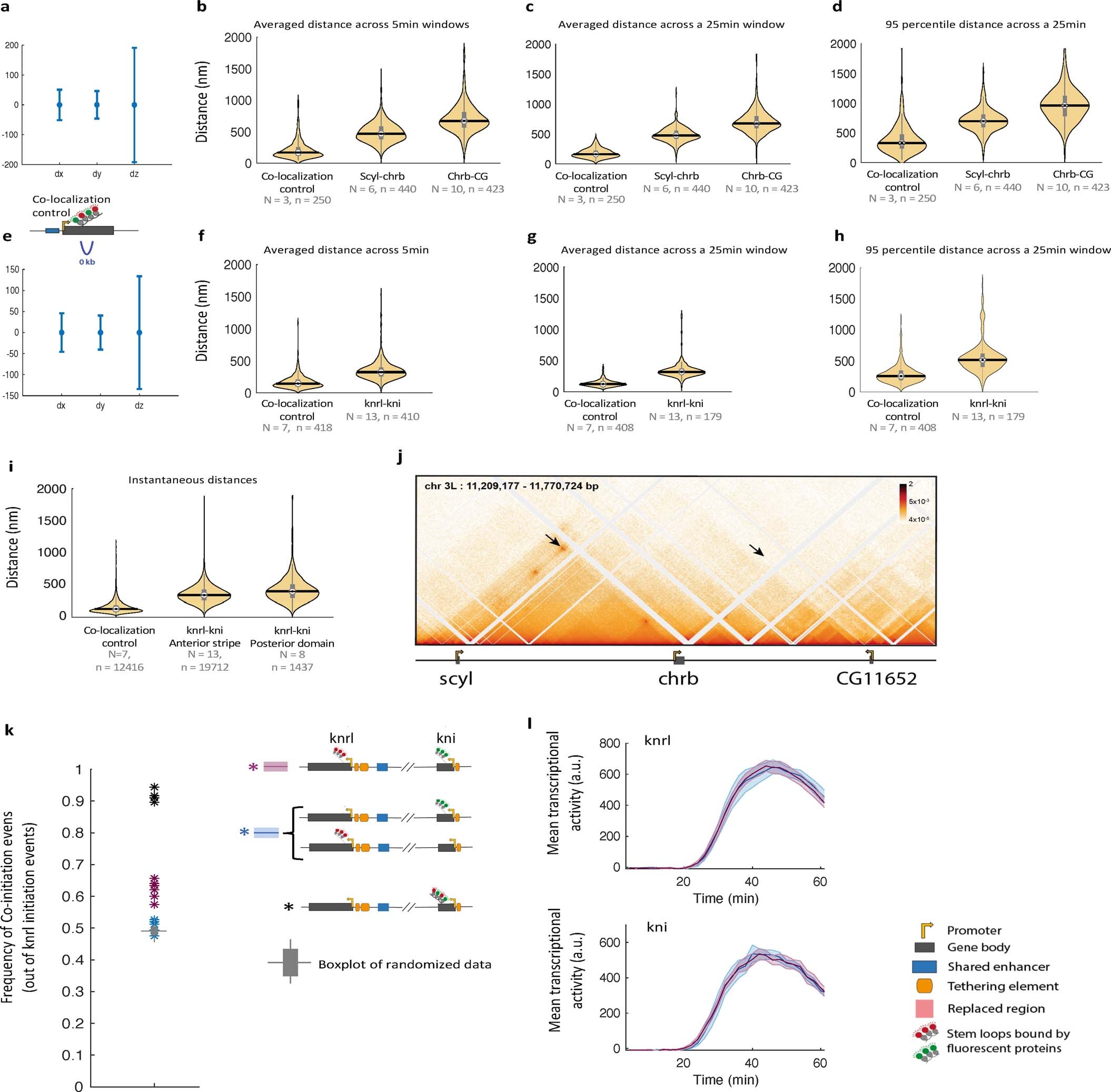 Extended Data Fig. 5: Time averaged distance measurements and co-initiation controls.