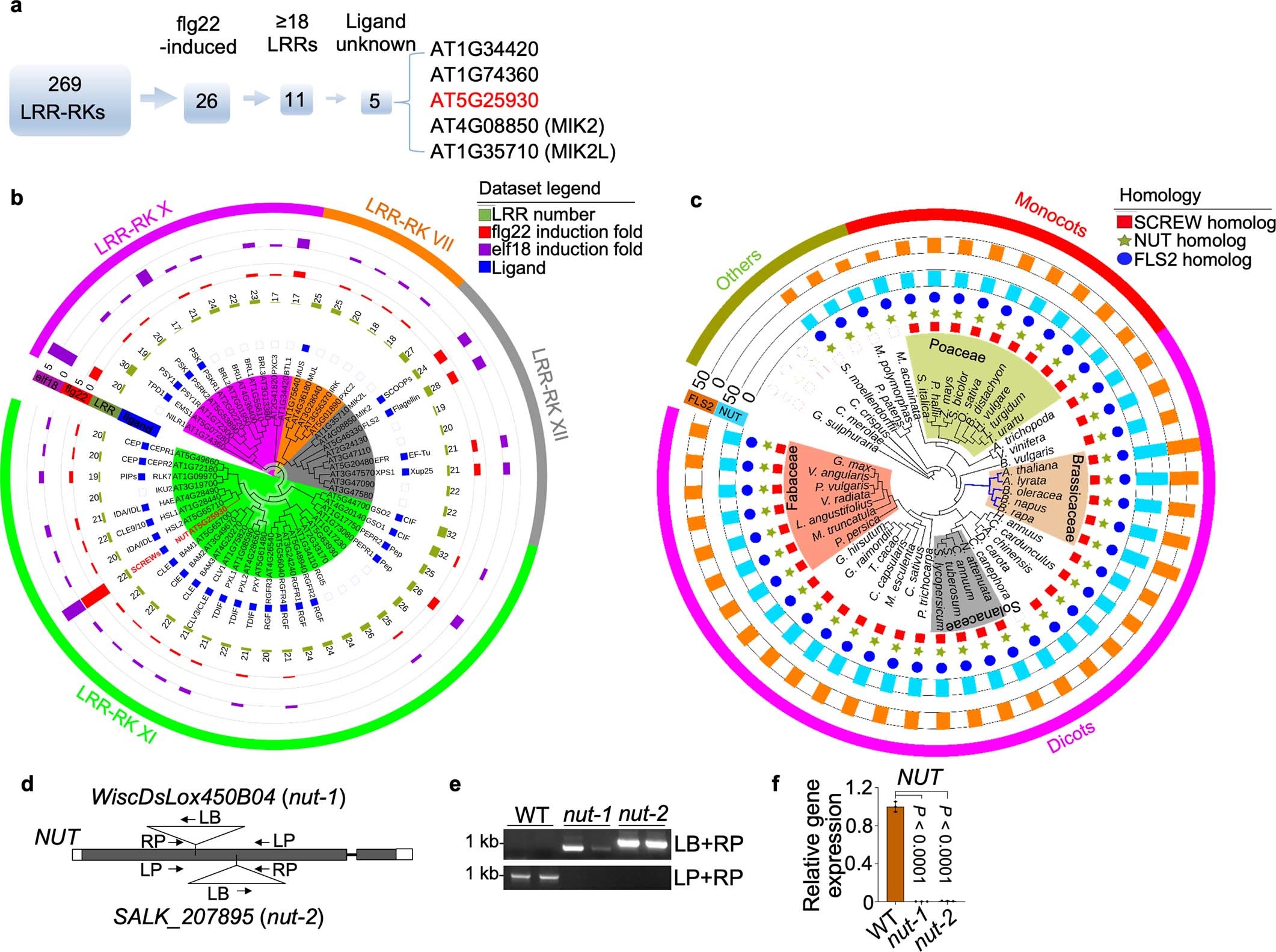 Extended Data Fig. 5: Identification of the SCREW receptor NUT.