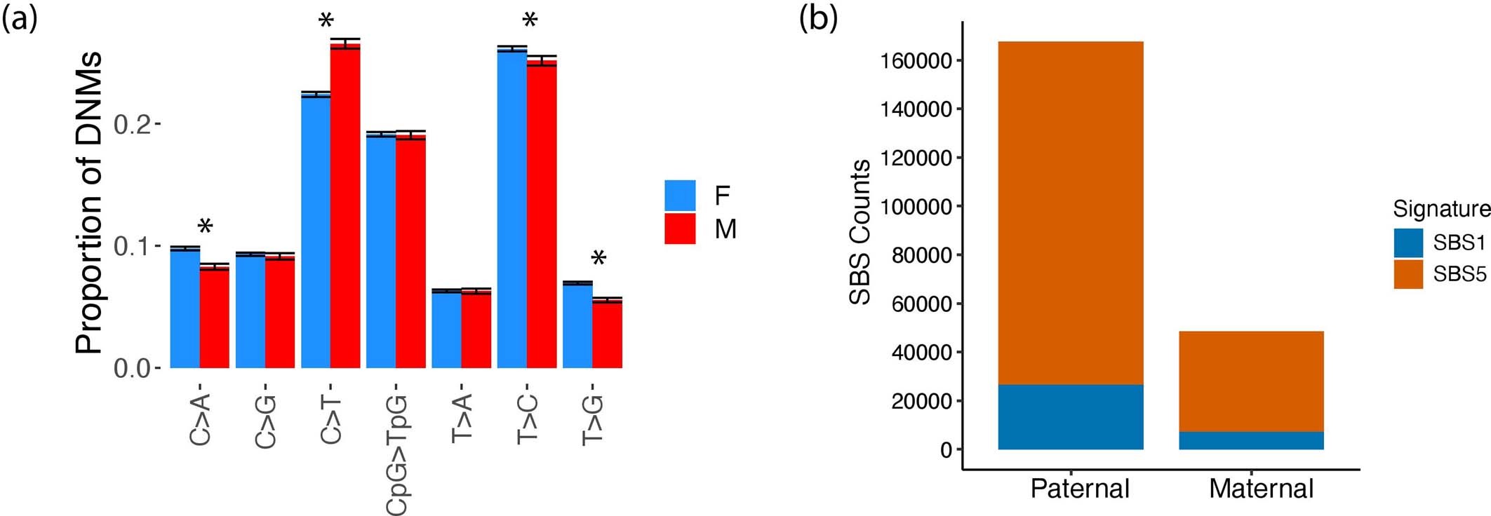 Extended Data Fig. 2: Mutational spectra and signatures for maternal vs paternal DNMs across 100kGP cohort.