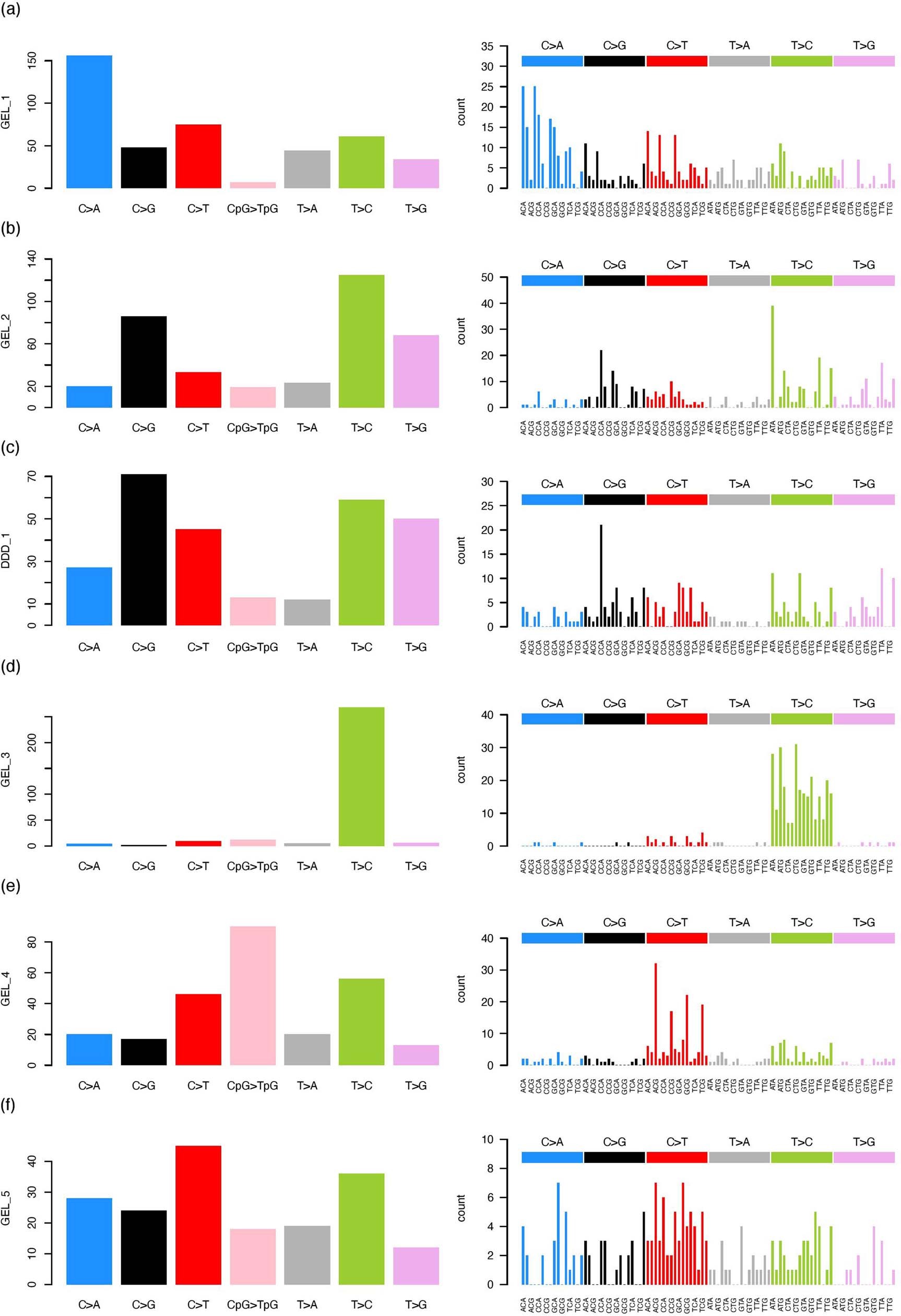 Extended Data Fig. 3: Mutational spectra for the DNMs of hypermutated individuals part 1.