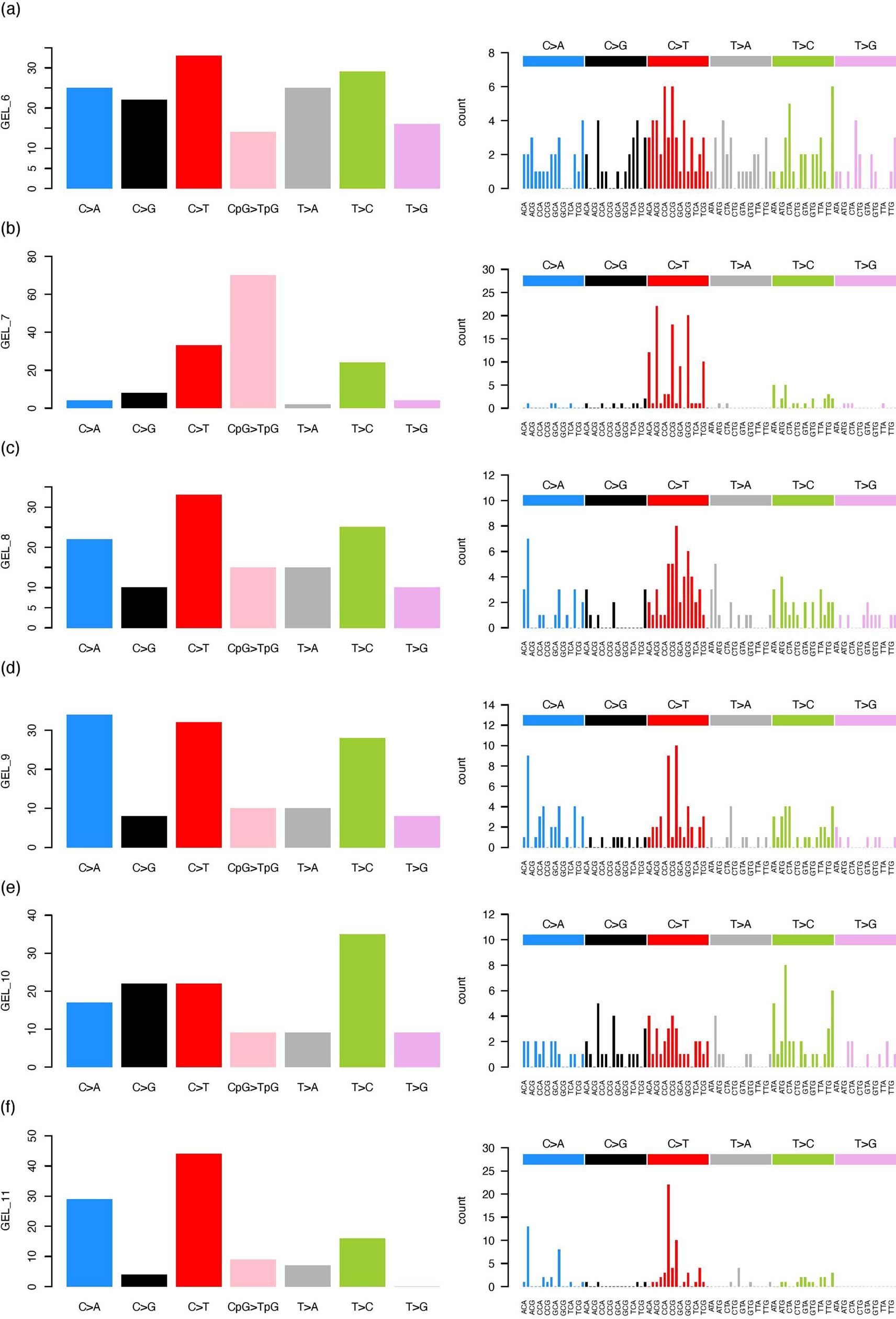 Extended Data Fig. 4: Mutational spectra for the DNMs hypermutated individuals part 2.