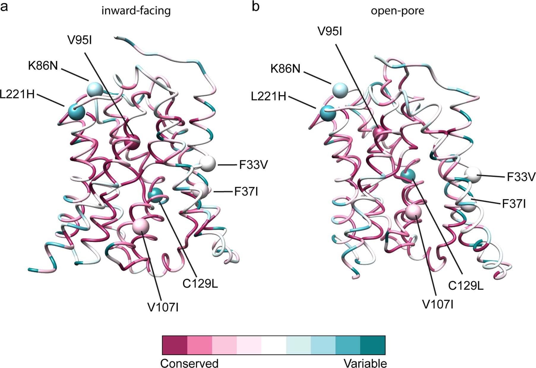 Extended Data Fig. 6