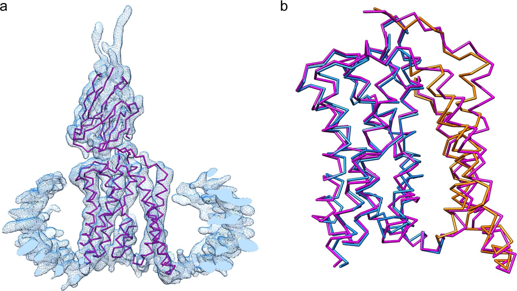Extended Data Fig. 8