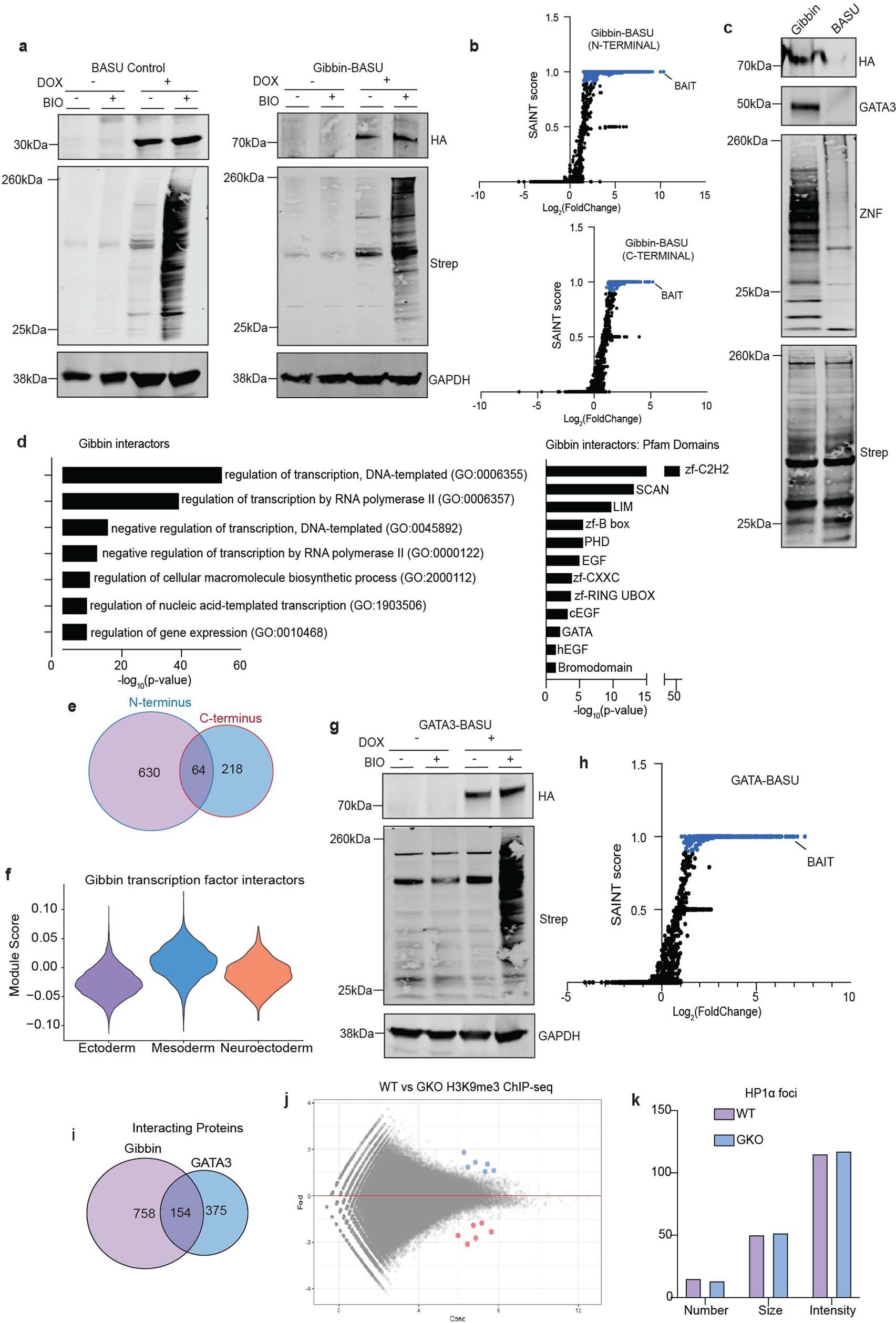 Extended Data Fig. 6