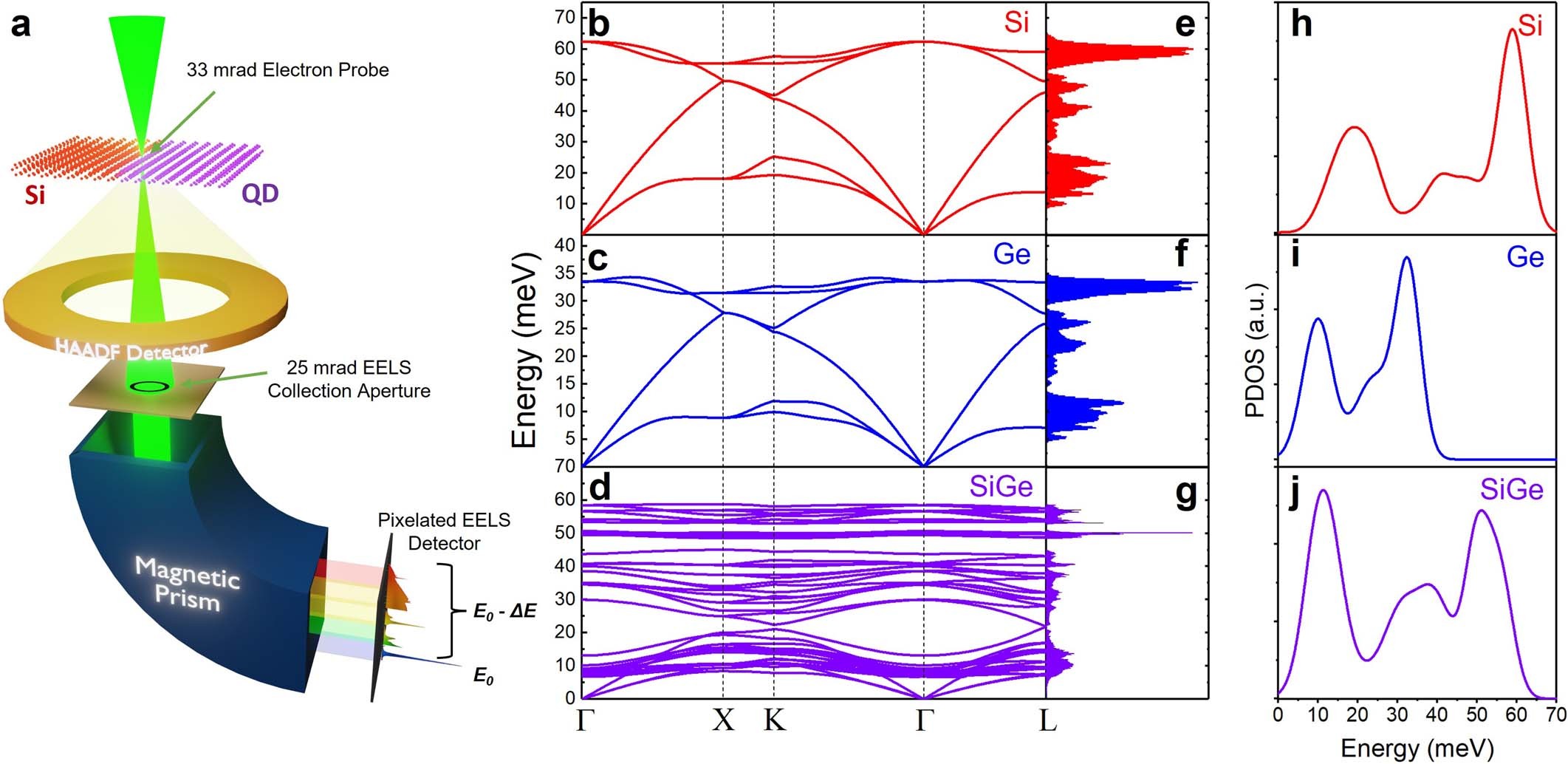 Extended Data Fig. 1