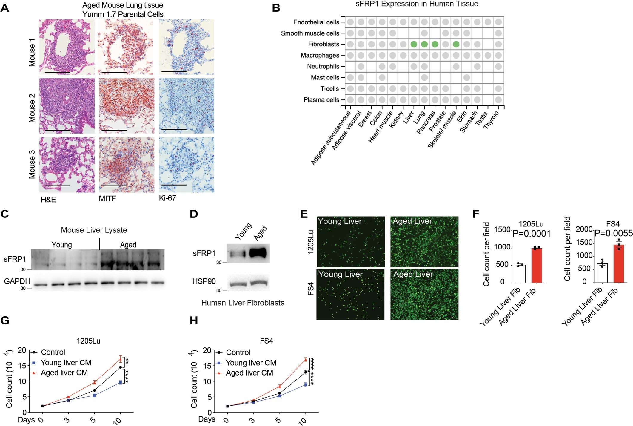 Extended Data Fig. 11