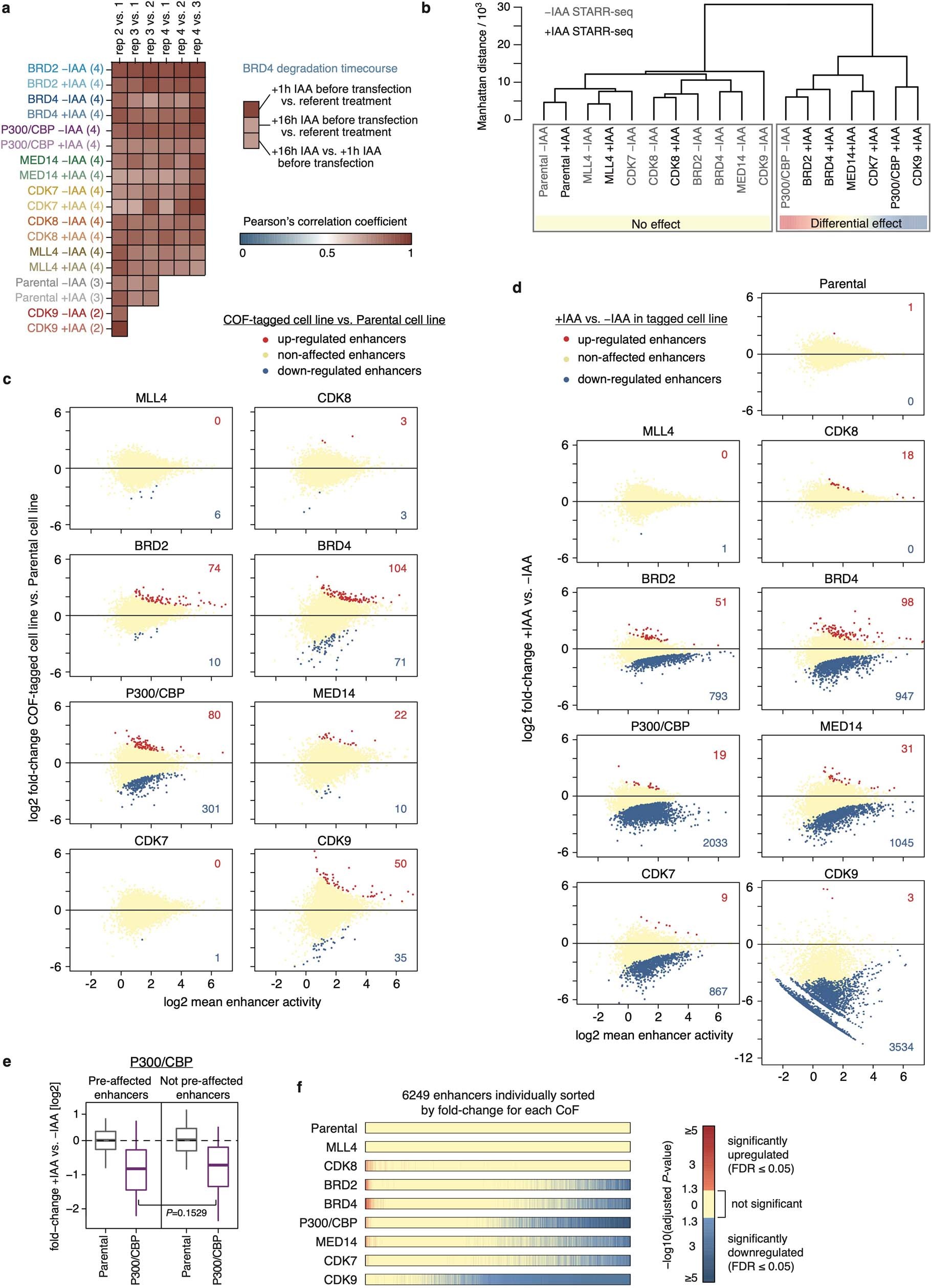 Extended Data Fig. 2: Effect of cofactor tagging and targeted cofactor degradation on enhancer activity.