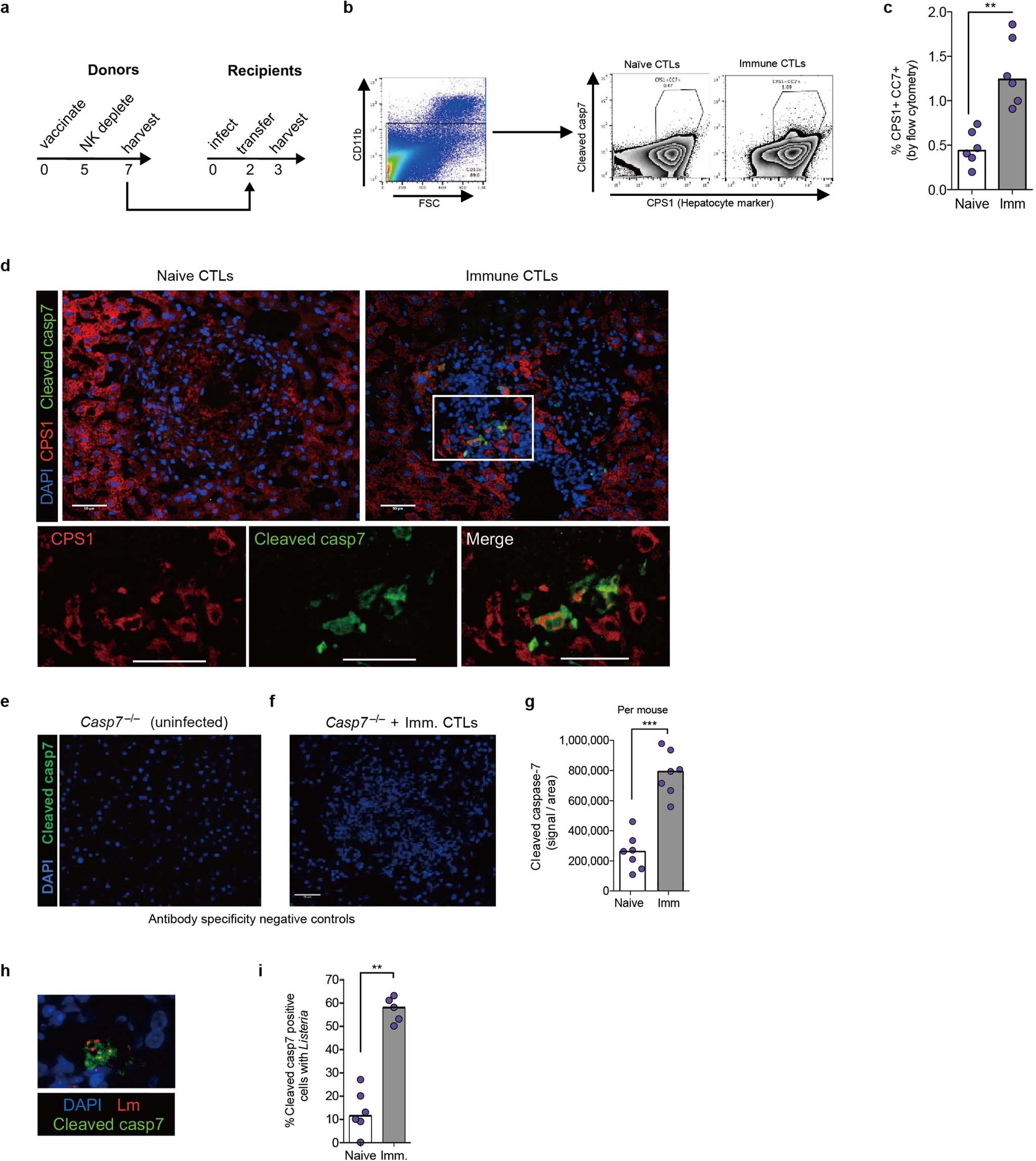 Extended Data Fig. 13