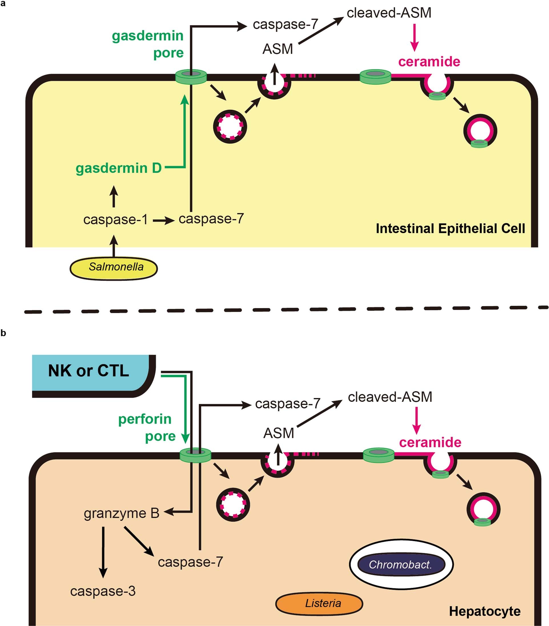 Extended Data Fig. 17