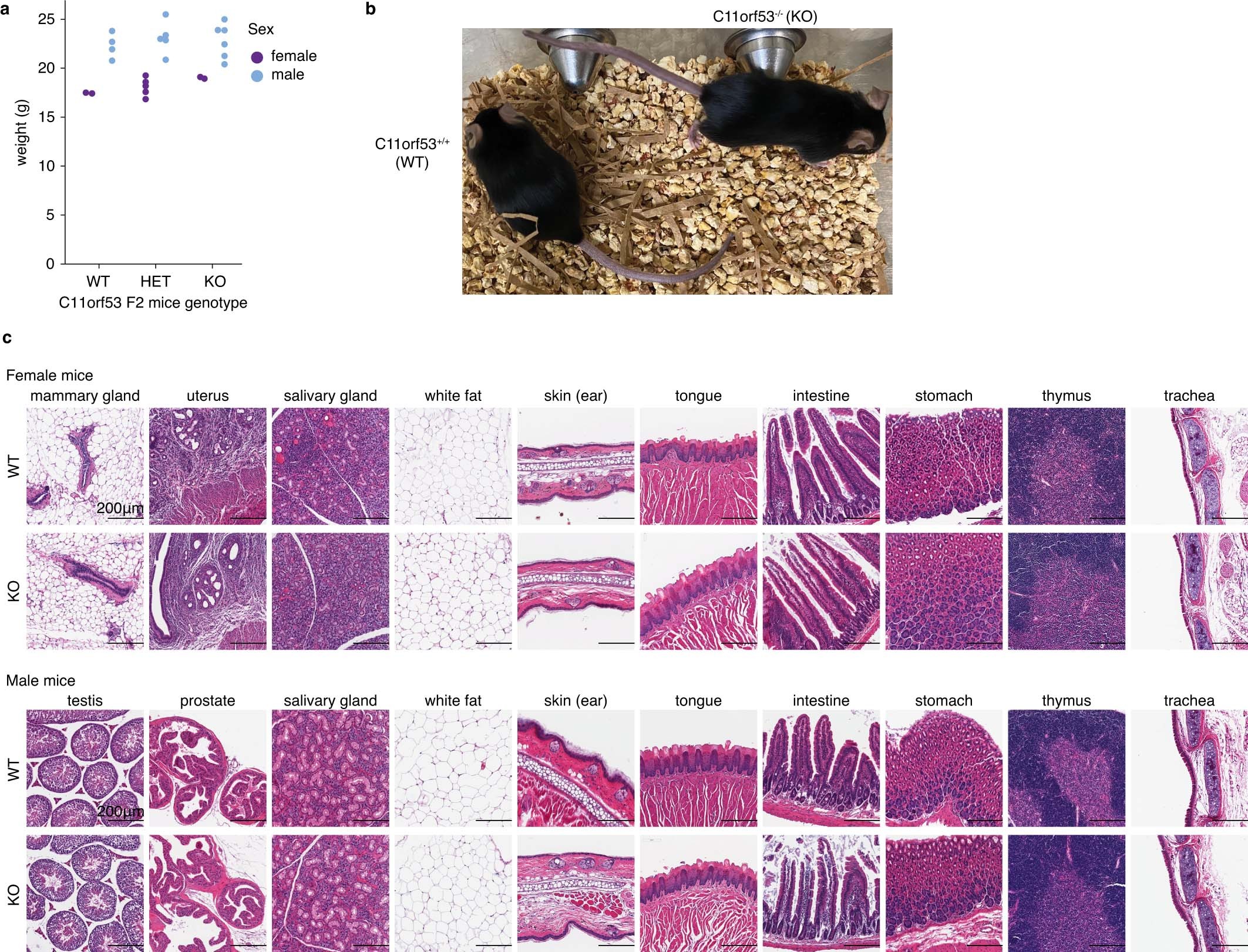 Extended Data Fig. 8