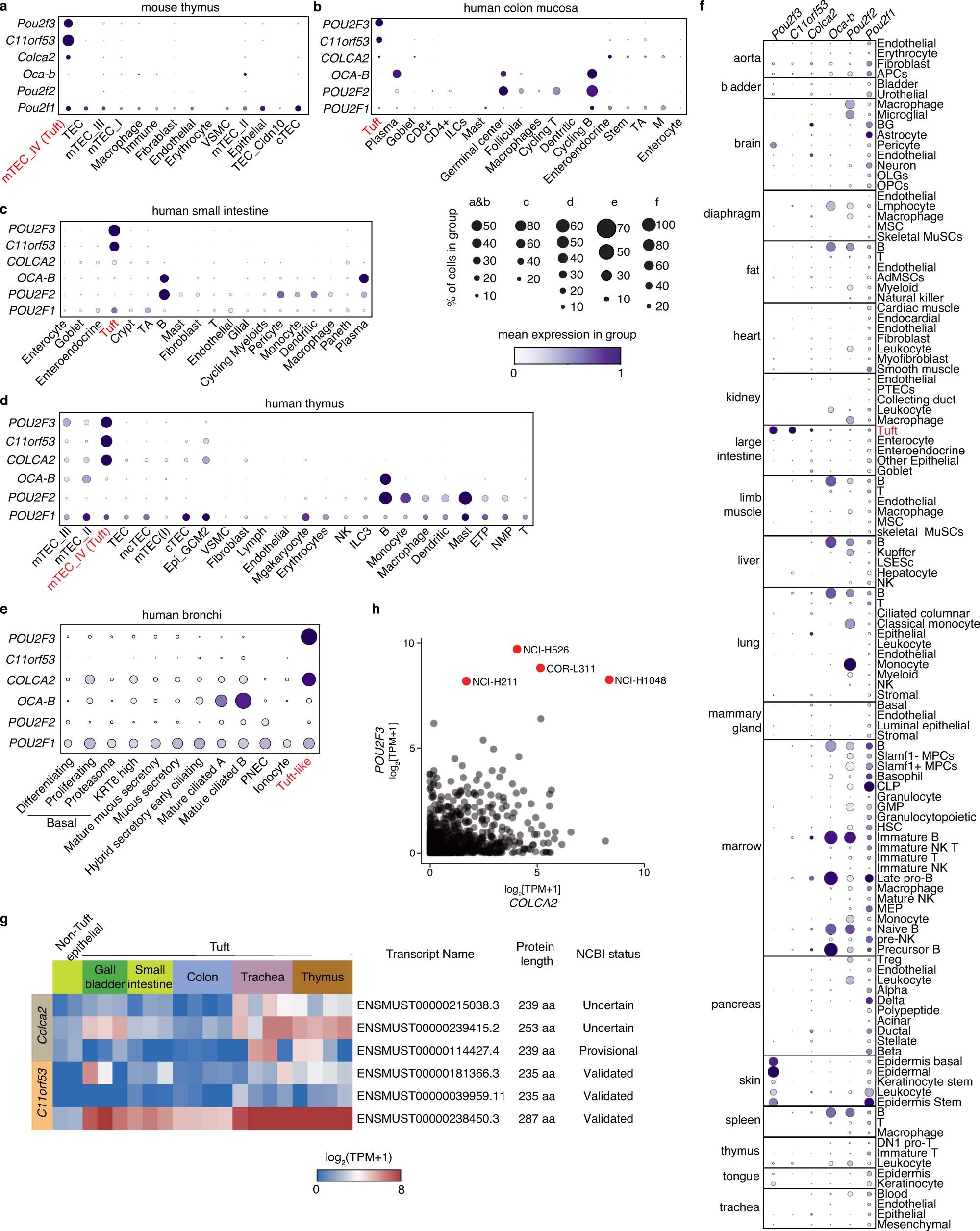 Extended Data Fig. 1