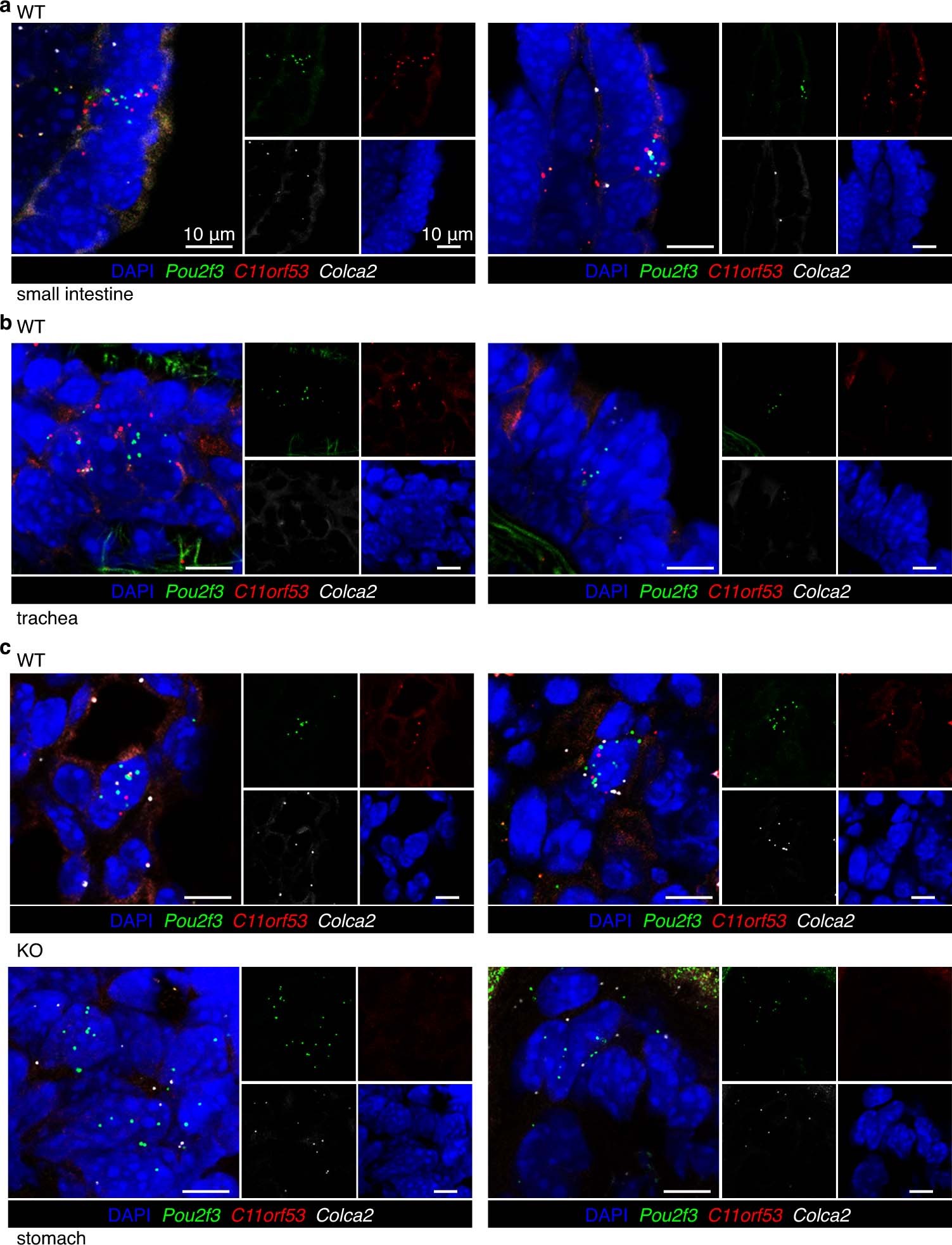 Extended Data Fig. 2