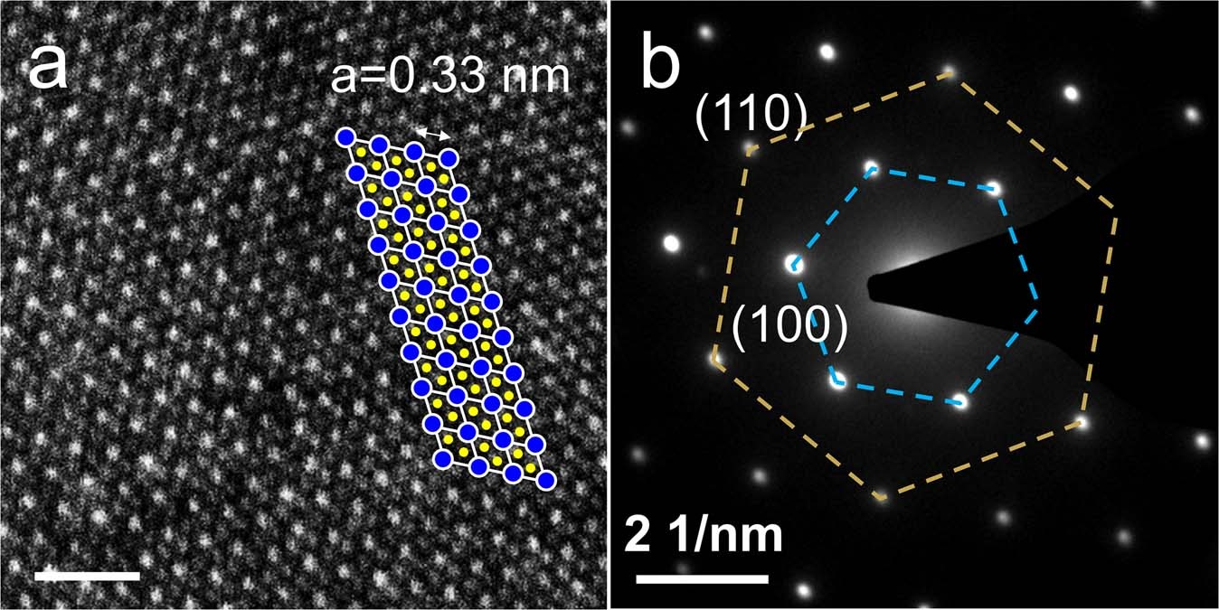 Extended Data Fig. 2