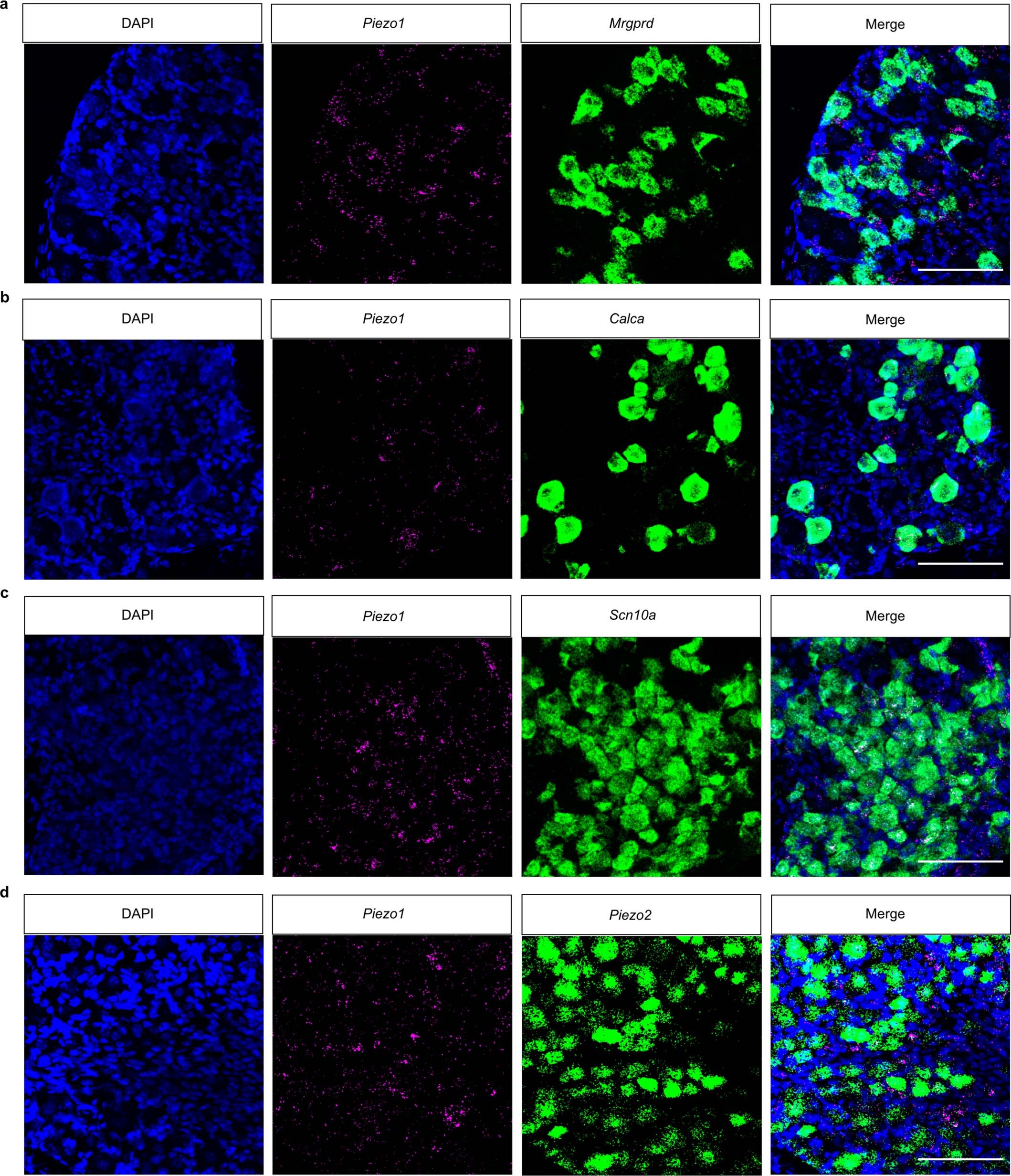 Extended Data Fig. 2