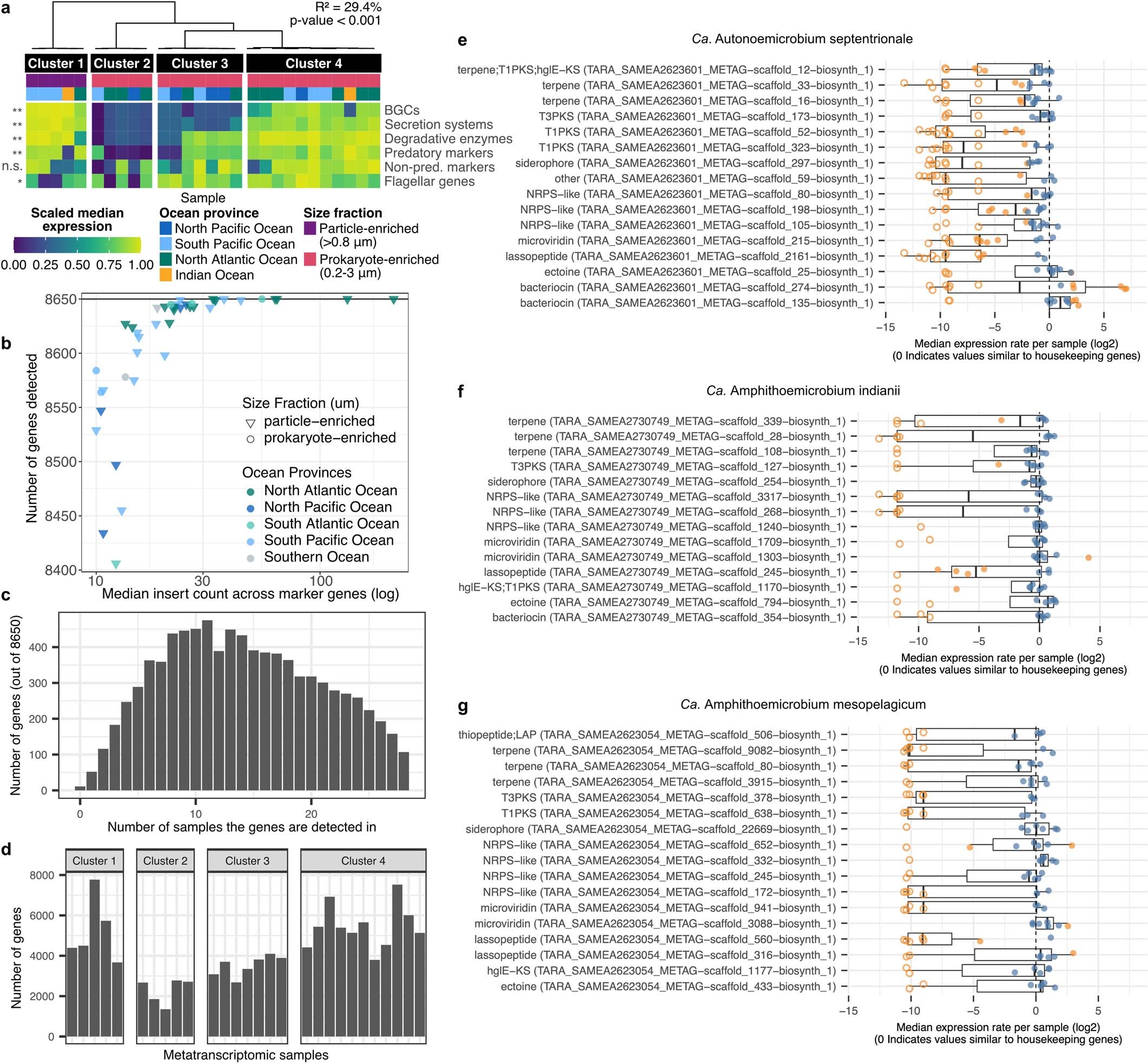 Extended Data Fig. 7: BGCs are the most differentially expressed genes in Ca. E. taraoceanii natural populations are expressed in natura across the Ca. Eudoremicrobiaceae family.