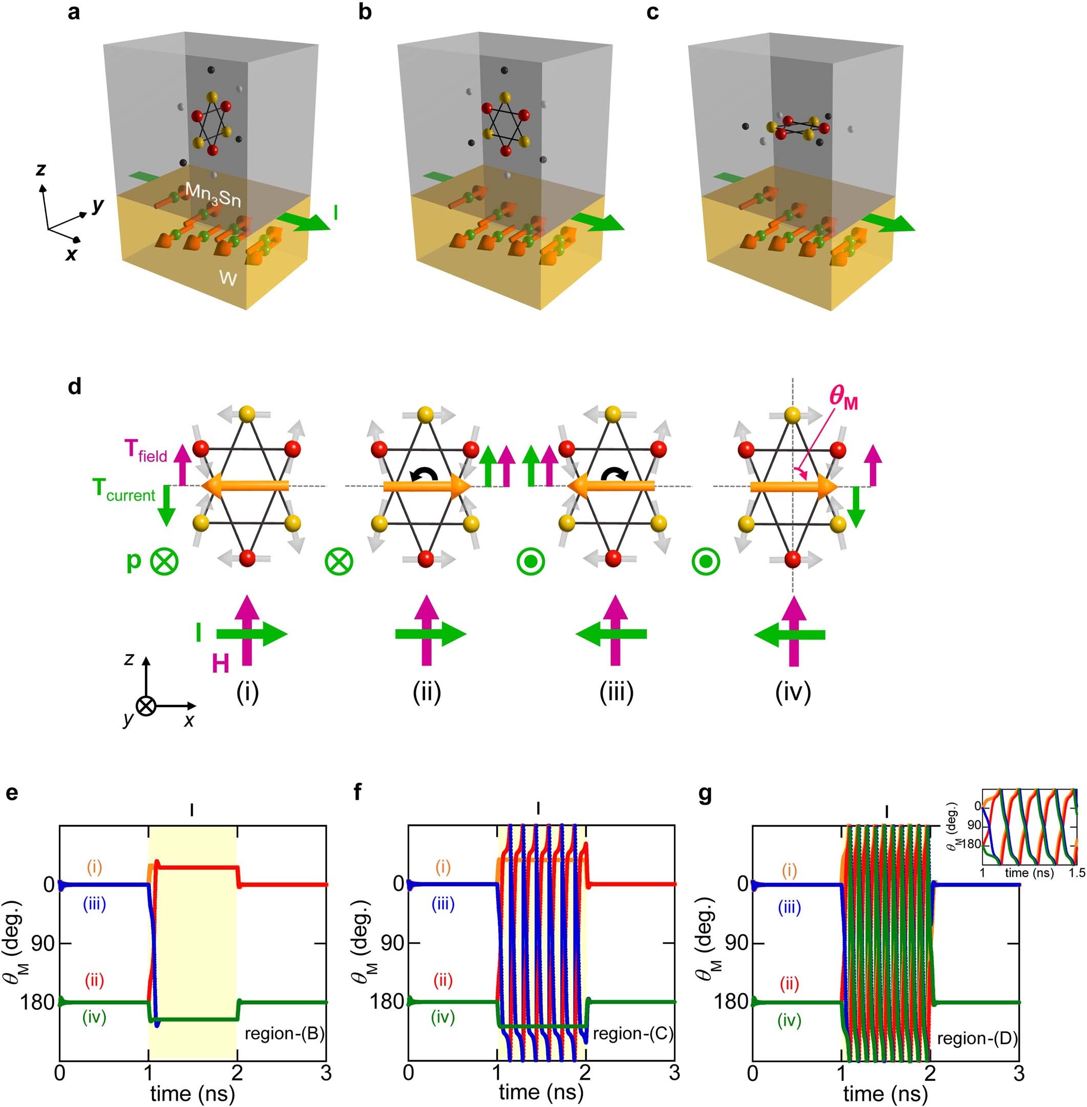 Extended Data Fig. 9: Theoretical consideration for the electrical switching of the chiral AF order in Mn3Sn.