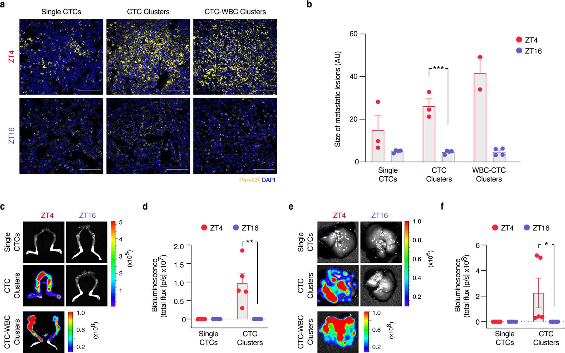 Extended Data Fig. 5