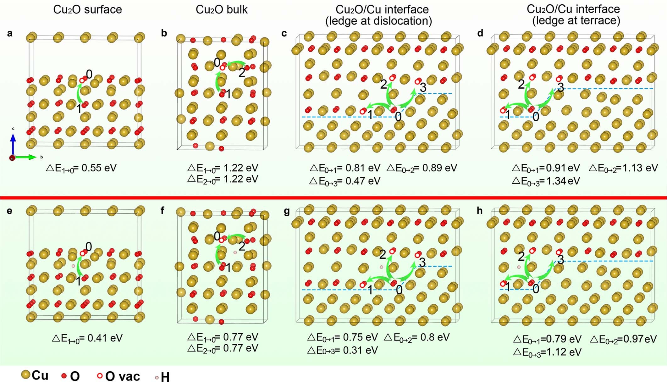 Extended Data Fig. 1