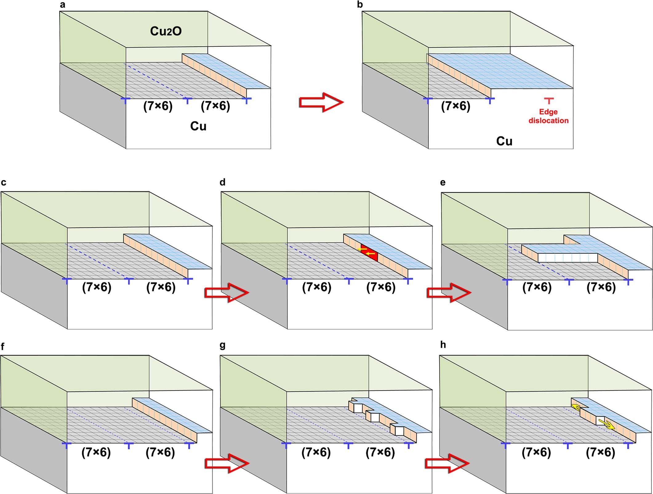 Extended Data Fig. 5