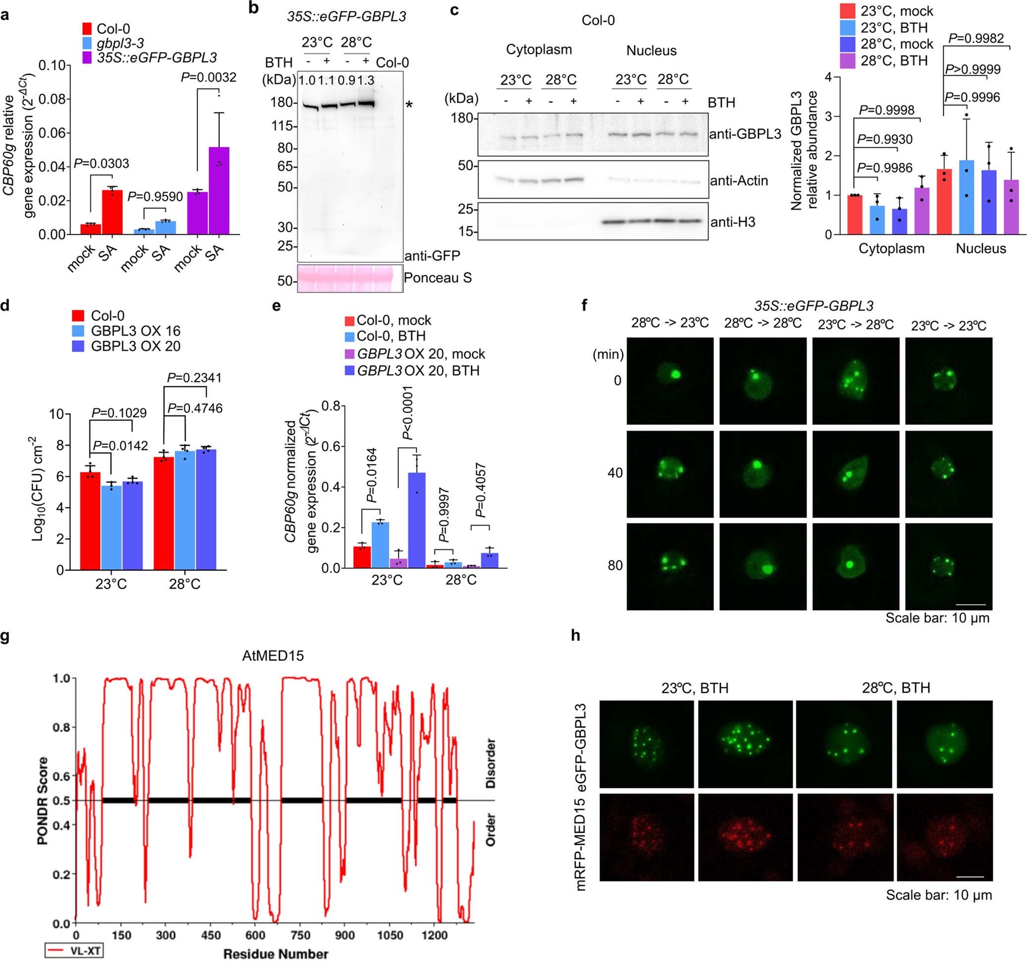 Extended Data Fig. 4: Characterization of 35S::eGFP-GBPL3 and GBPL3 OX plants.