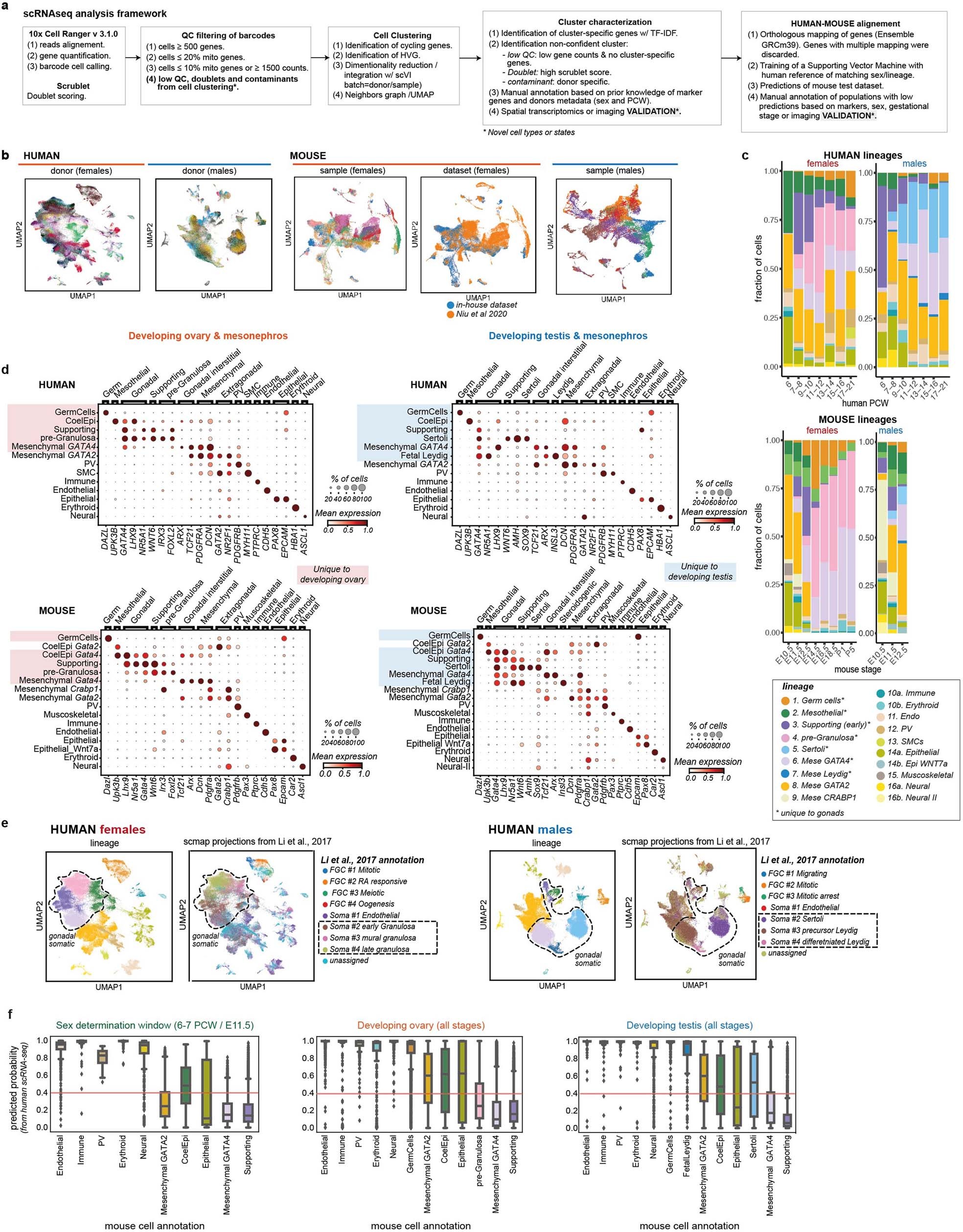 Extended Data Fig. 1: Quality control of scRNA-seq data of the human developing ovaries and testes.