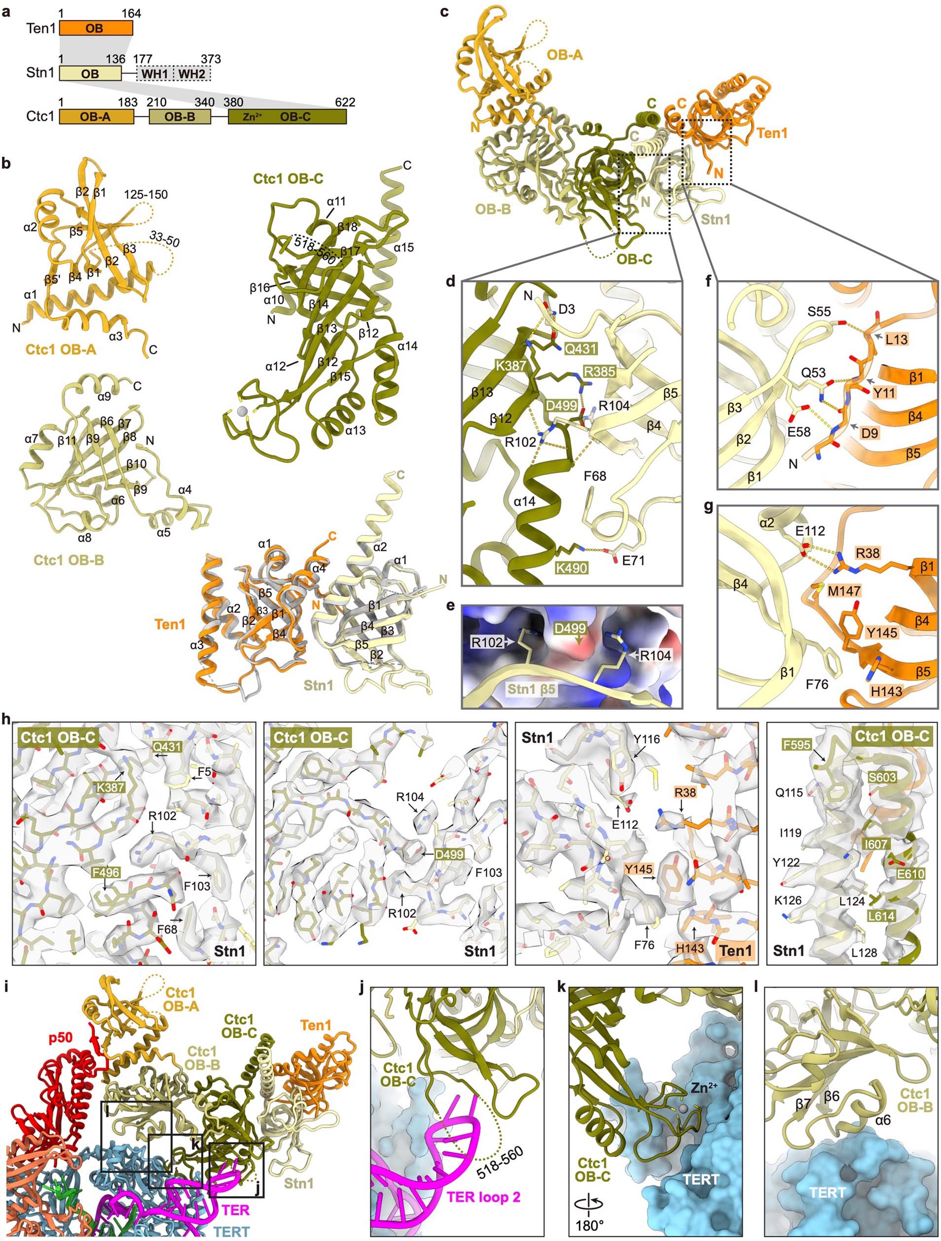 Extended Data Fig. 2