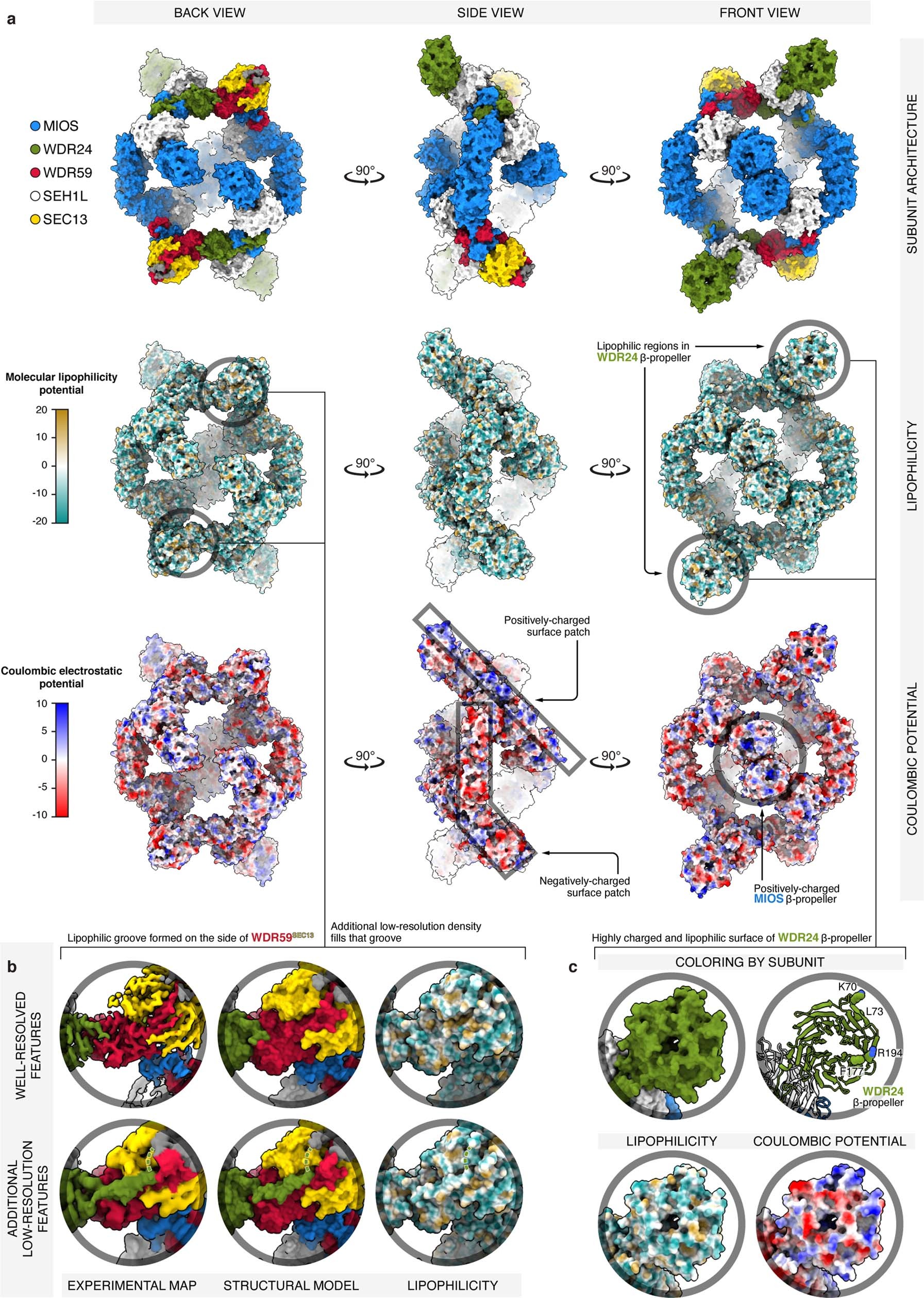 Extended Data Fig. 3