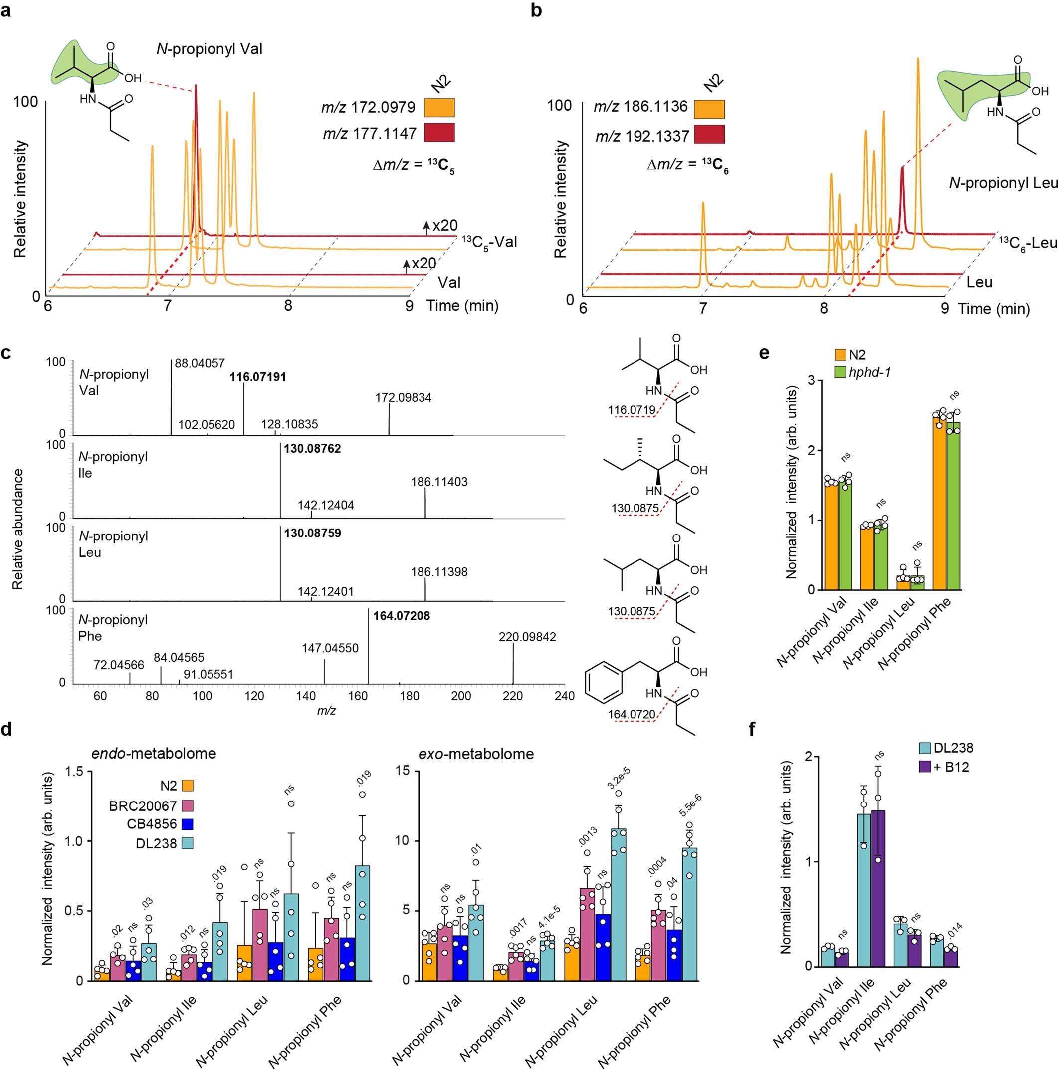 Extended Data Fig. 7: Isotope-tracing experiments aid the identification of N-propionyl-AAs.