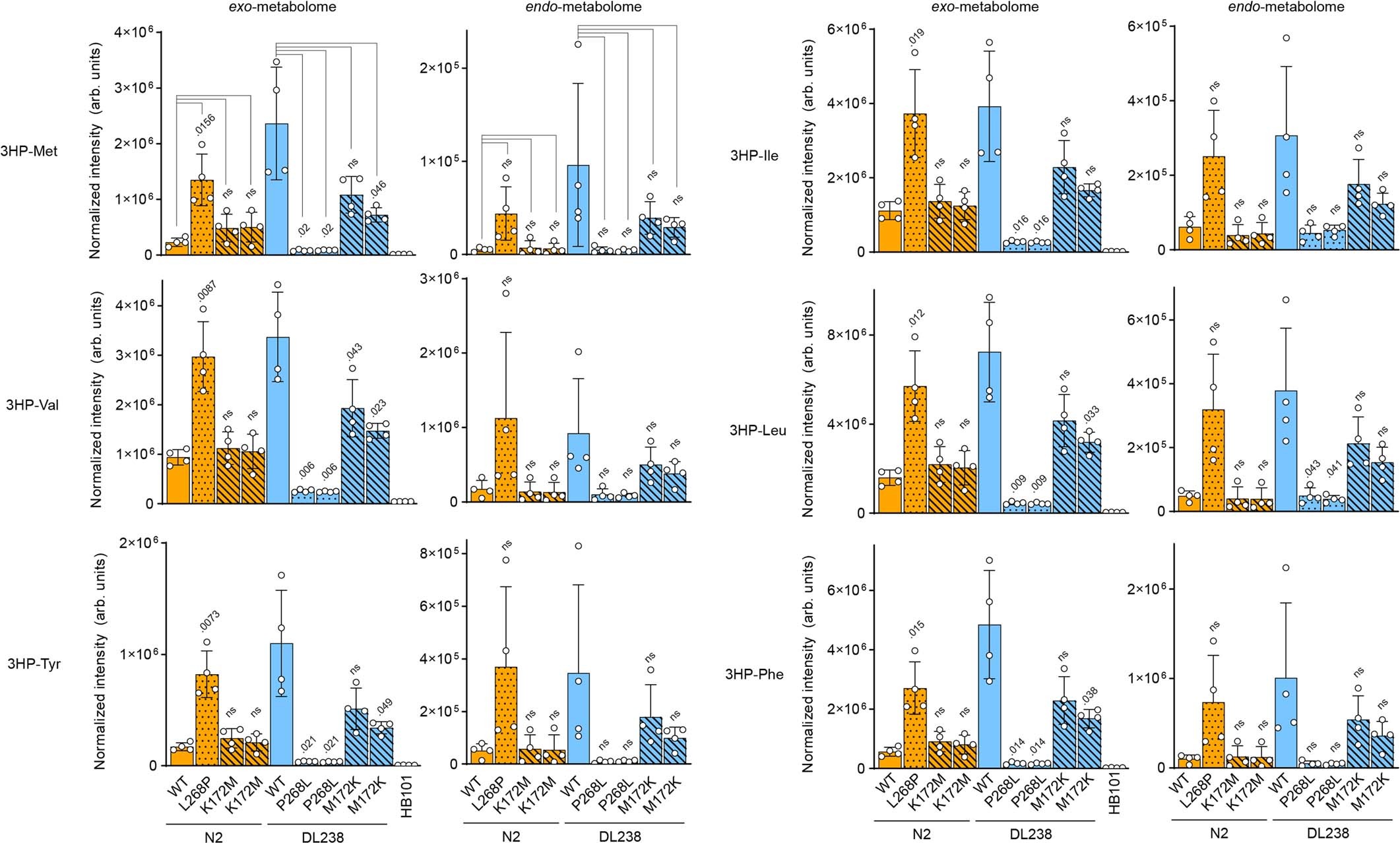 Extended Data Fig. 9: Abundance of 3HP-AAs in hphd-1 edited strains.