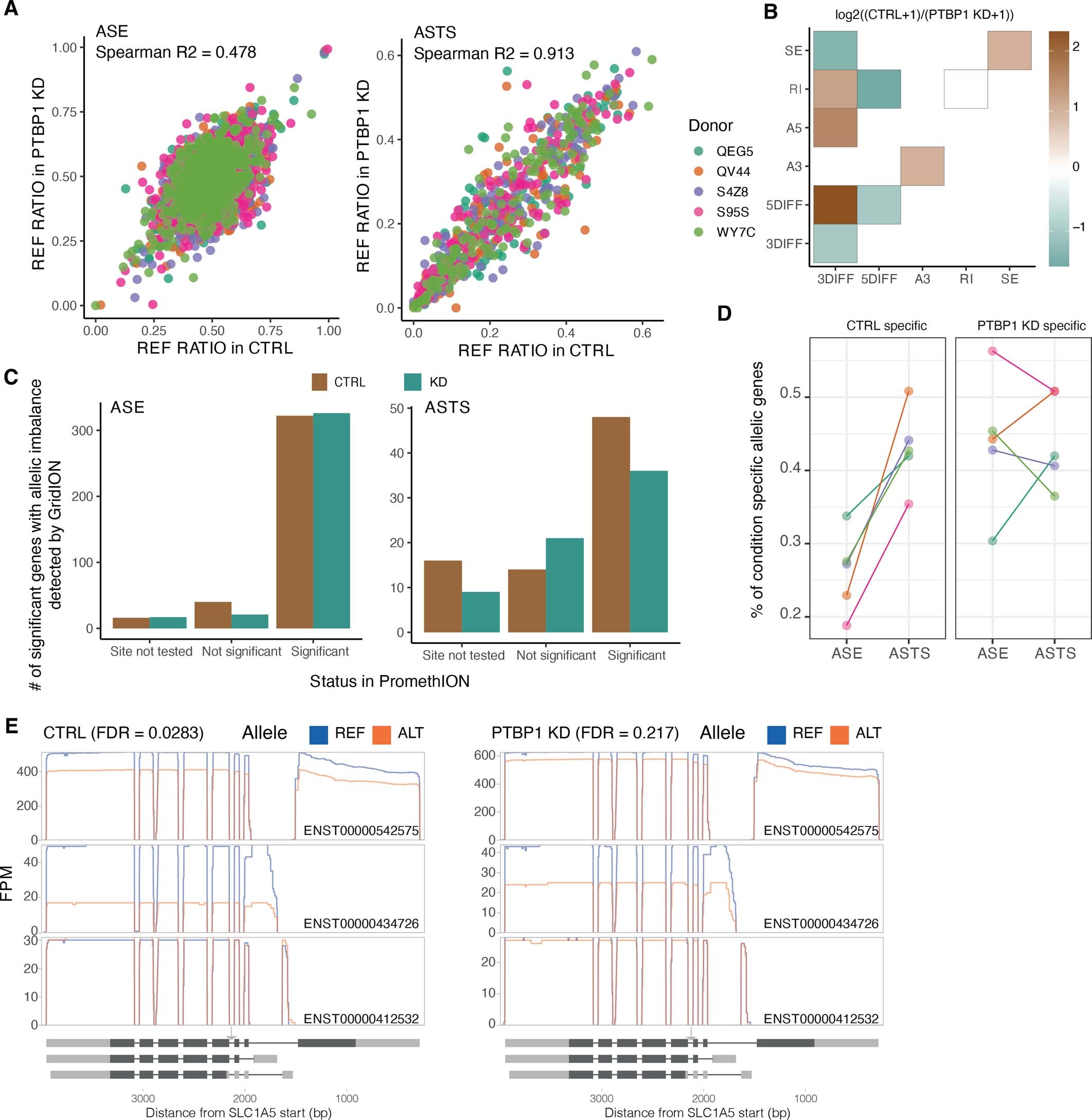Extended Data Fig. 14: Allele specific analysis of PTBP1-KD and control samples.