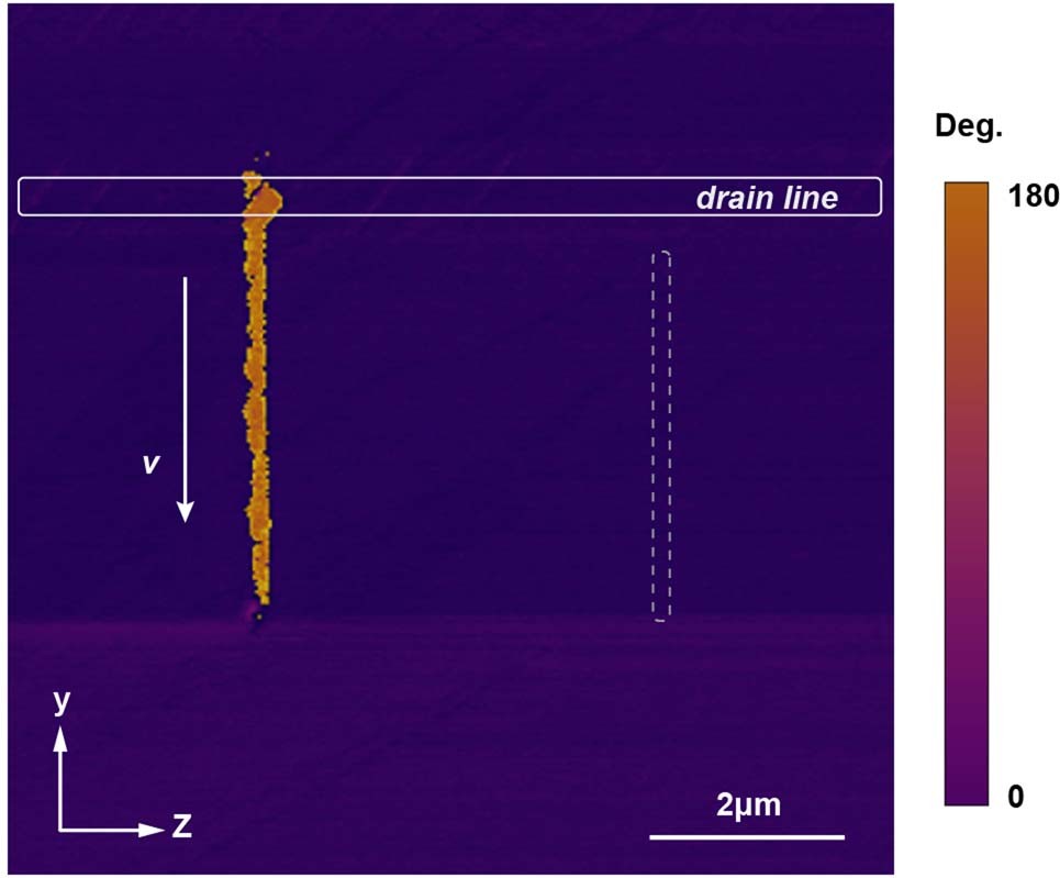 Extended Data Fig. 9