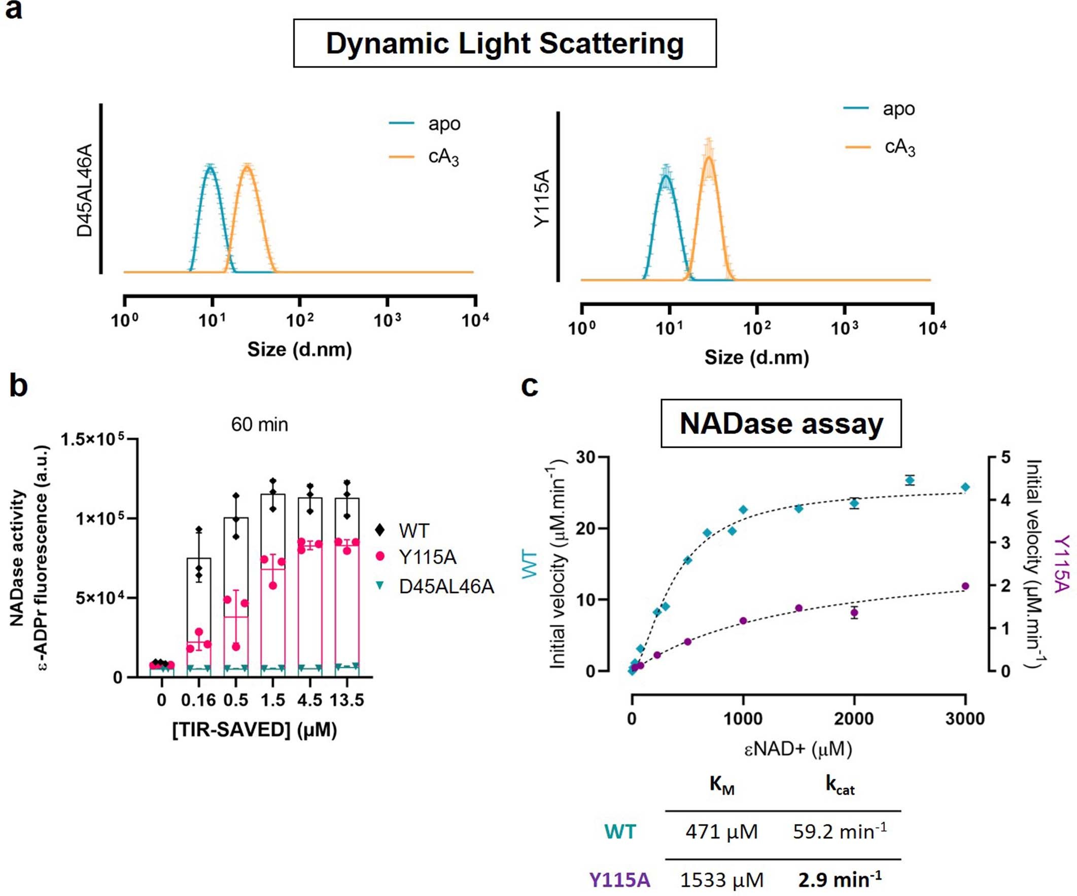 Extended Data Fig. 7