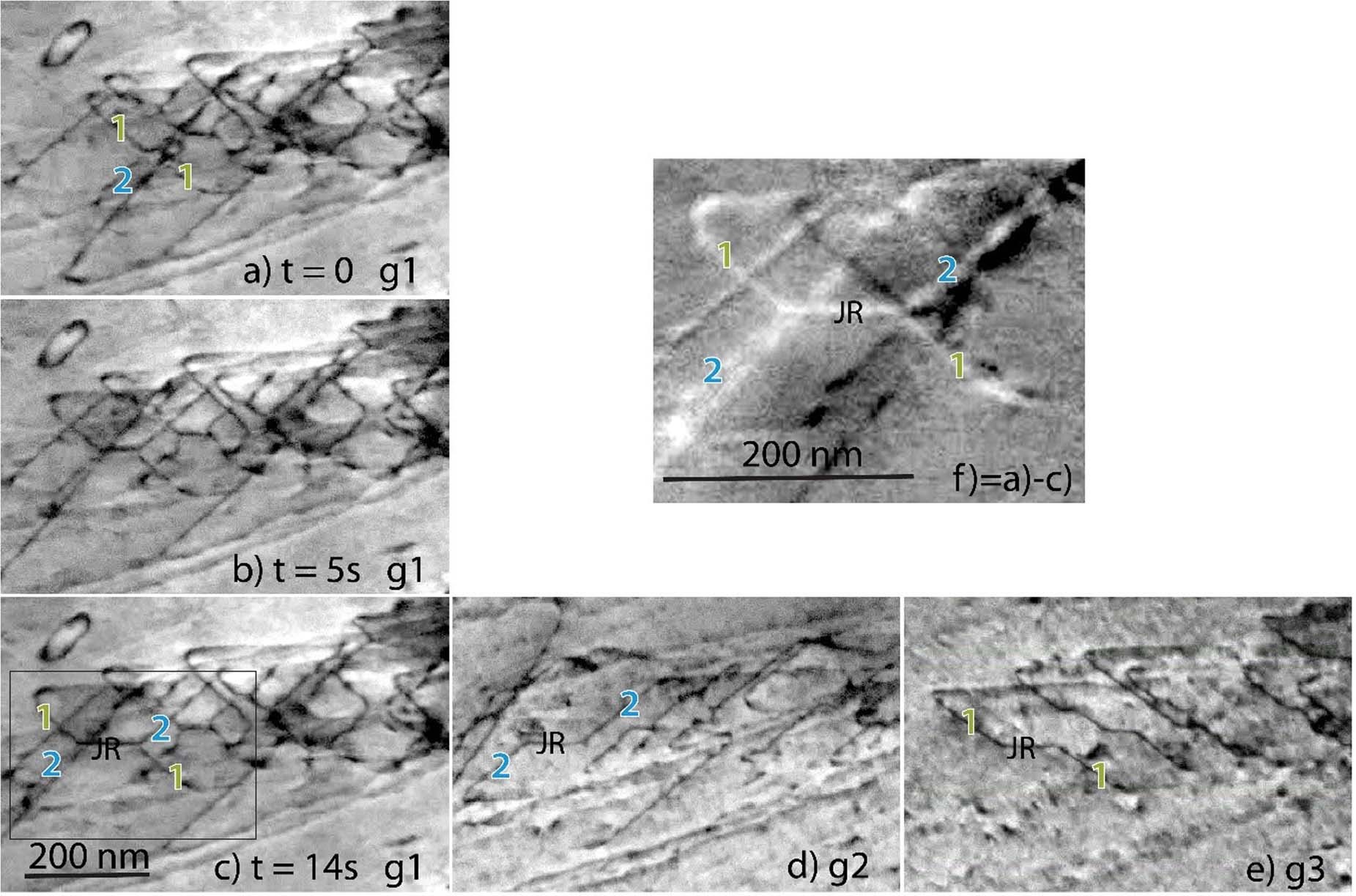 Extended Data Fig. 2