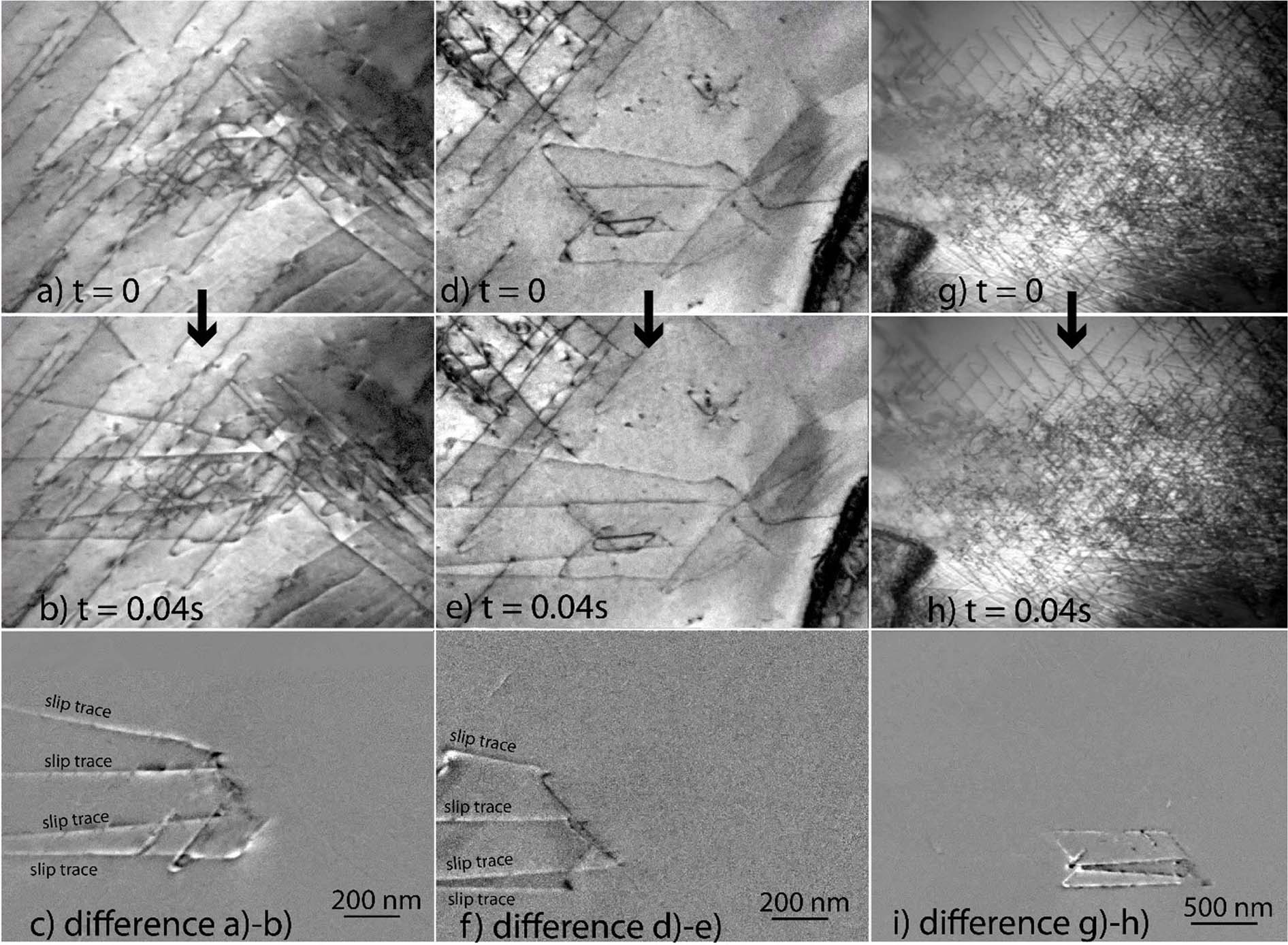 Extended Data Fig. 3