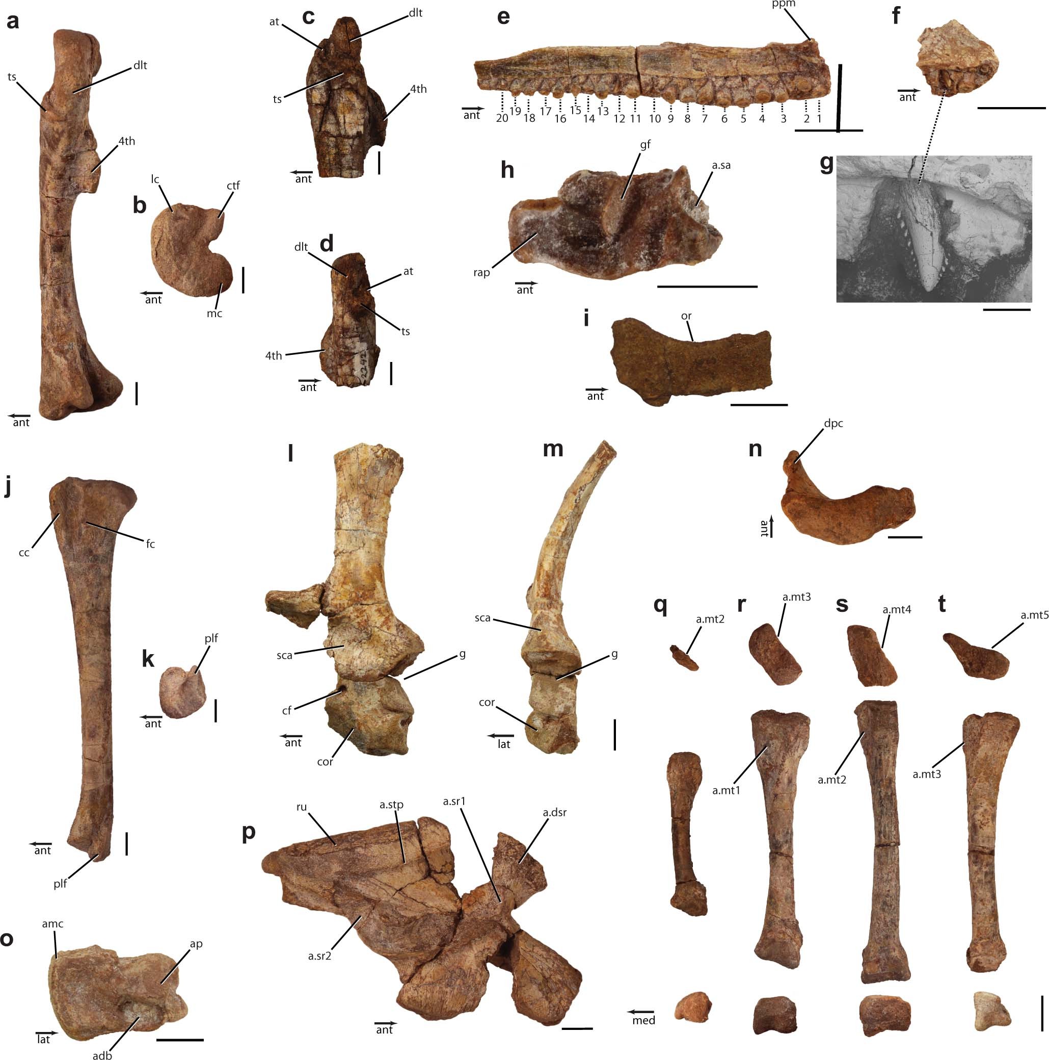 Extended Data Fig. 9