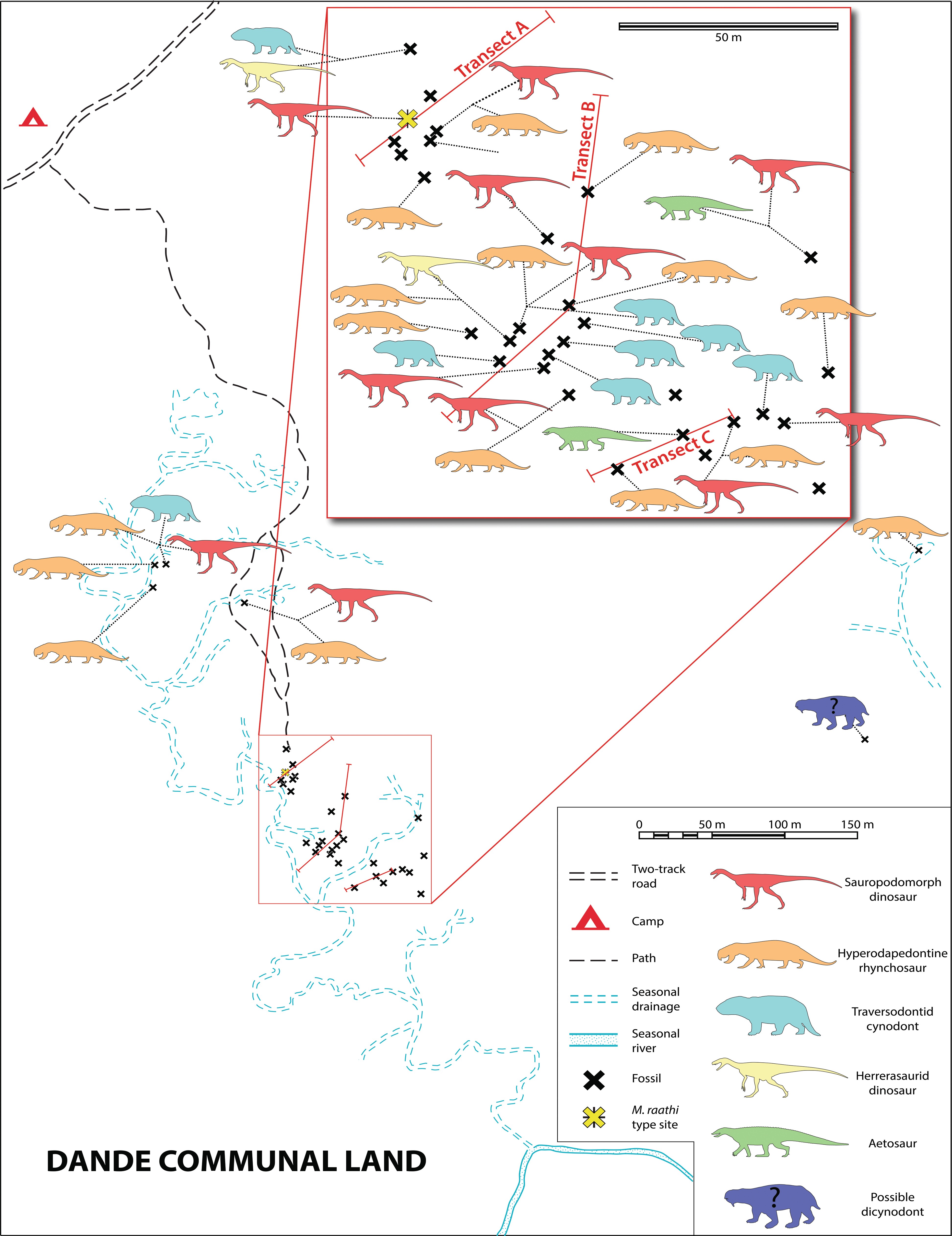 Extended Data Fig. 1: Map of individual fossil localities from the most productive region of the Pebbly Arkose Fm., Dande Communal Area, Zimbabwe.