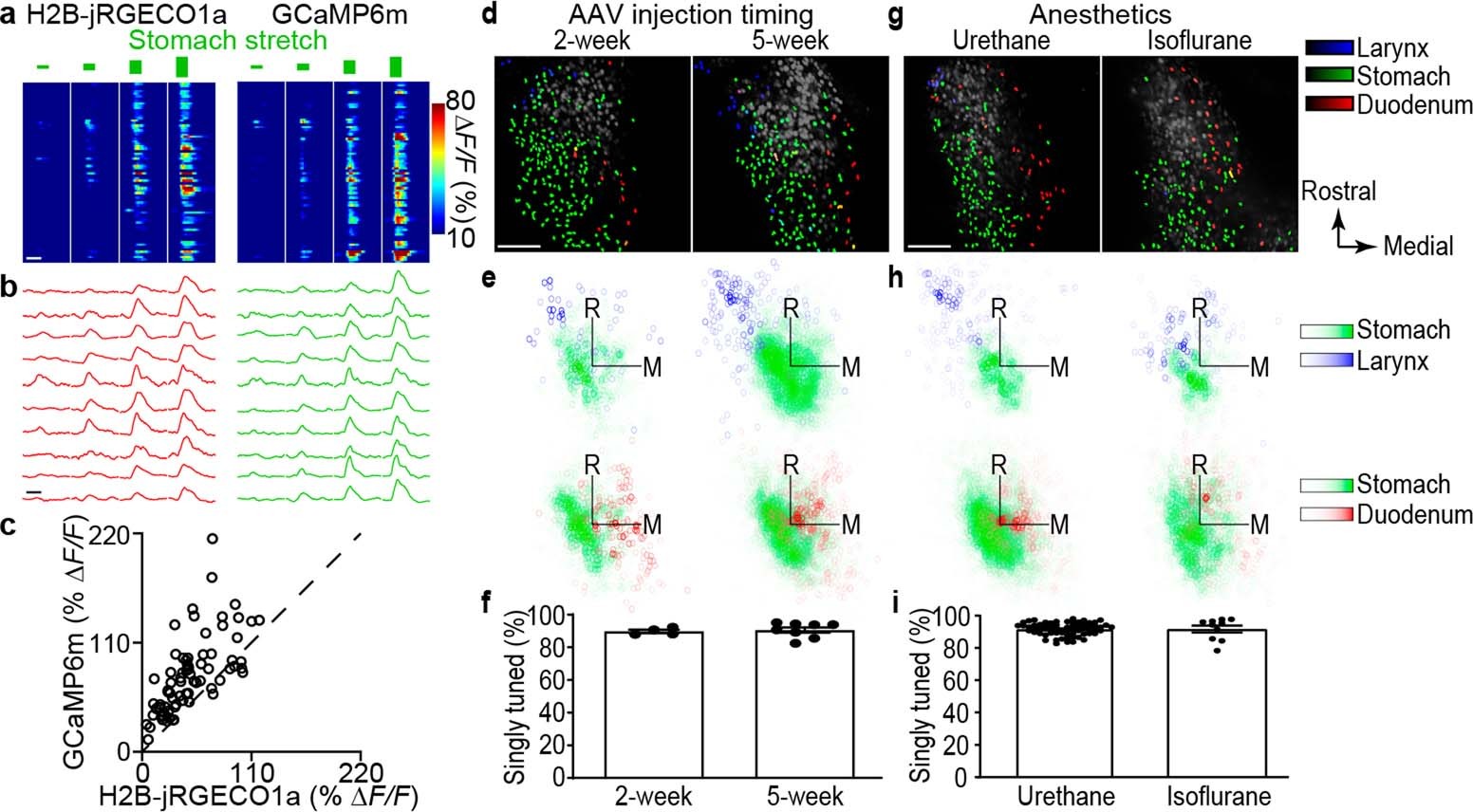 Extended Data Fig. 1