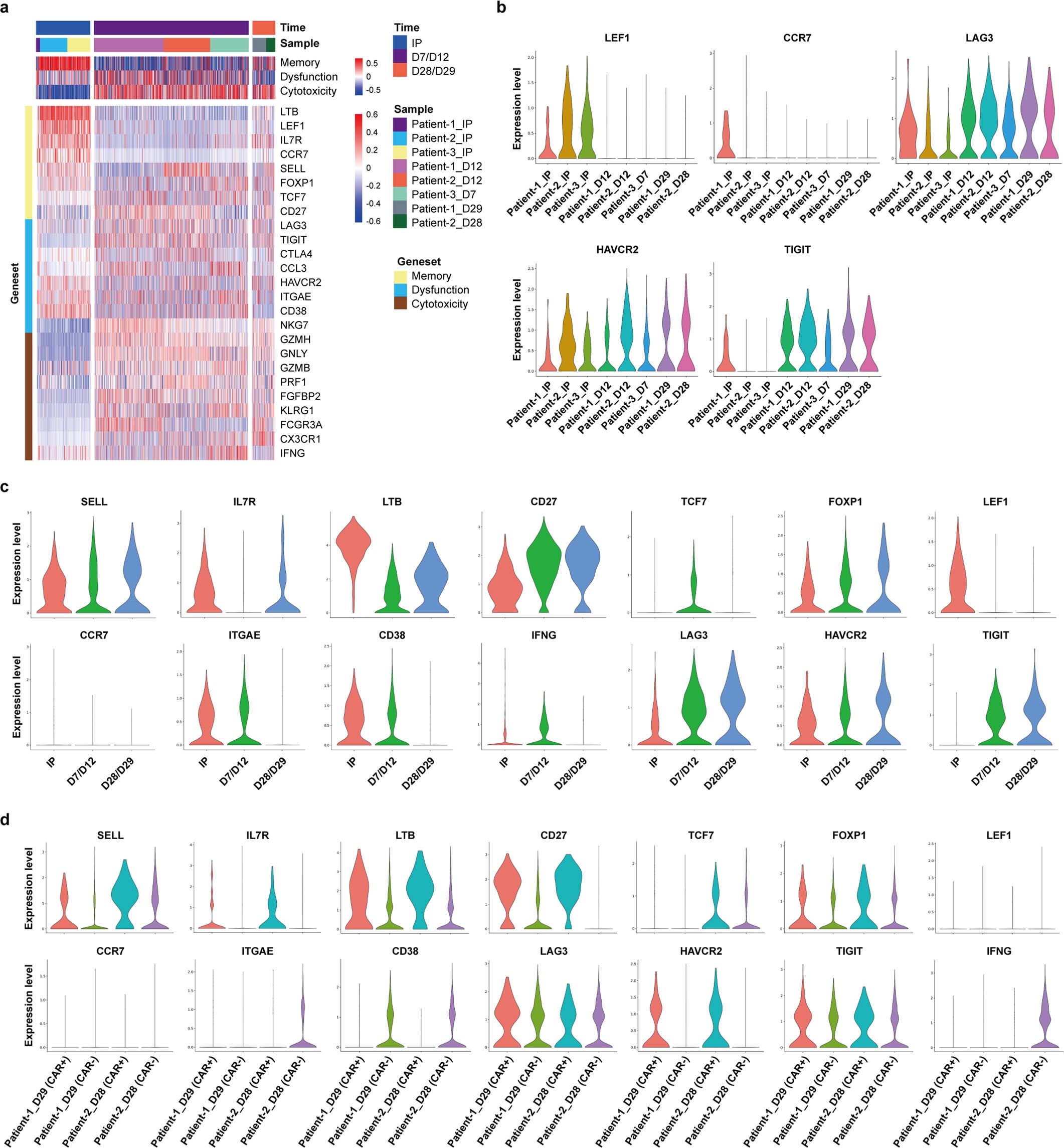 Extended Data Fig. 14: Expression of CD8 memory and dysfunction/cytotoxicity genes in non-viral PD1-targeted CAR-T cells before and after infusion.