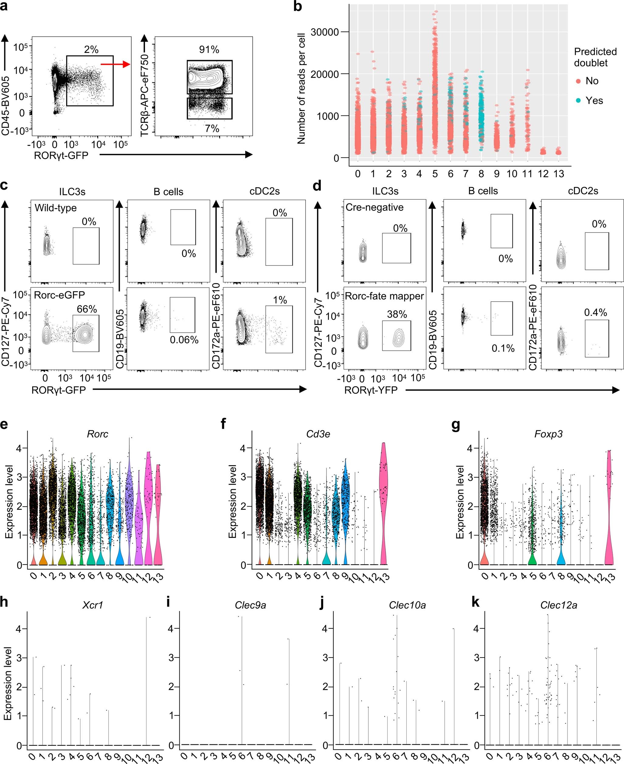 Extended Data Fig. 1: scRNA-seq profiling of RORγt+ cells from mouse mLN.