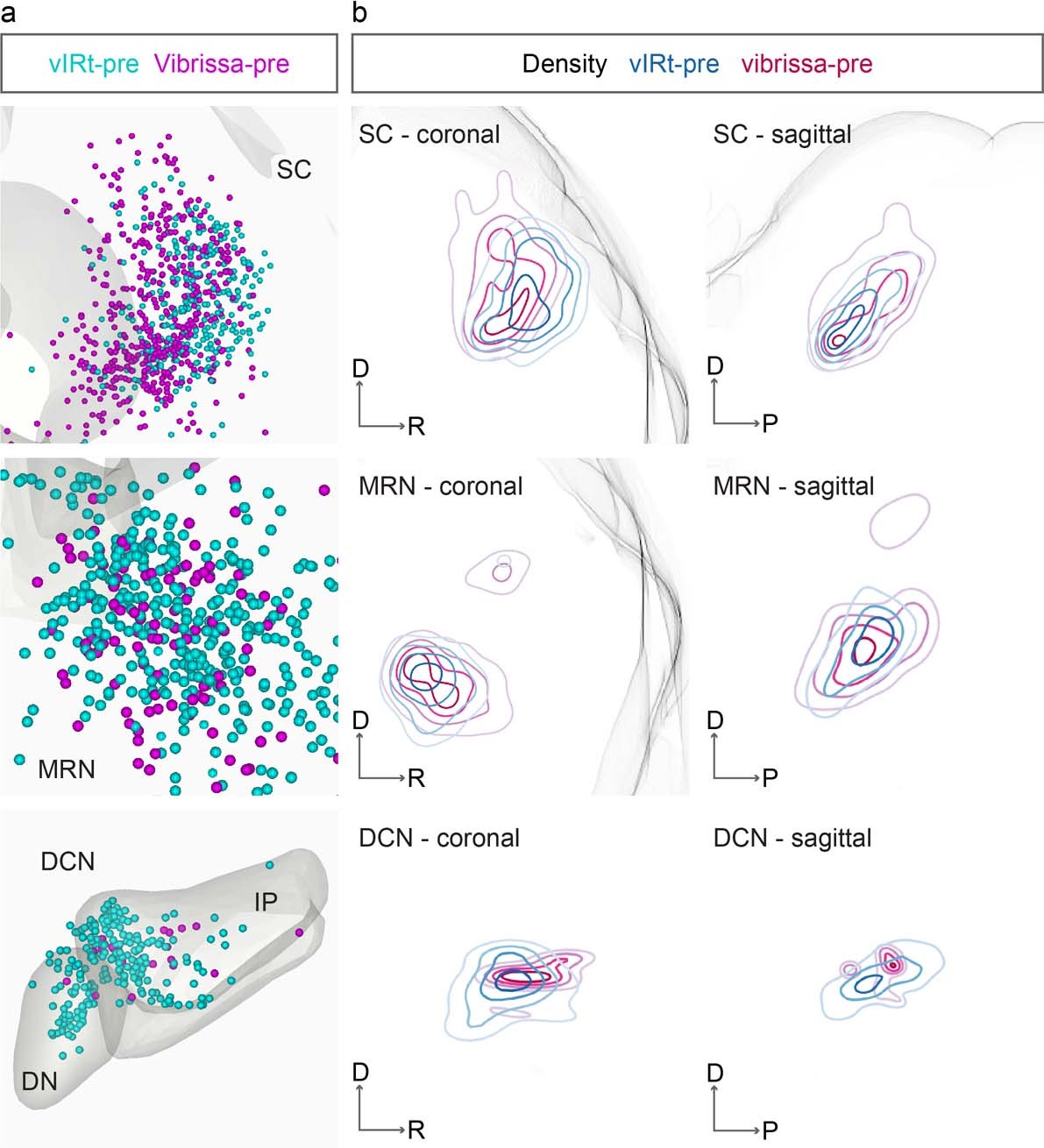 Extended Data Fig. 7: Comparison of the distributions of vIRtPV presynaptic neurons and vibrissal premotor neurons.