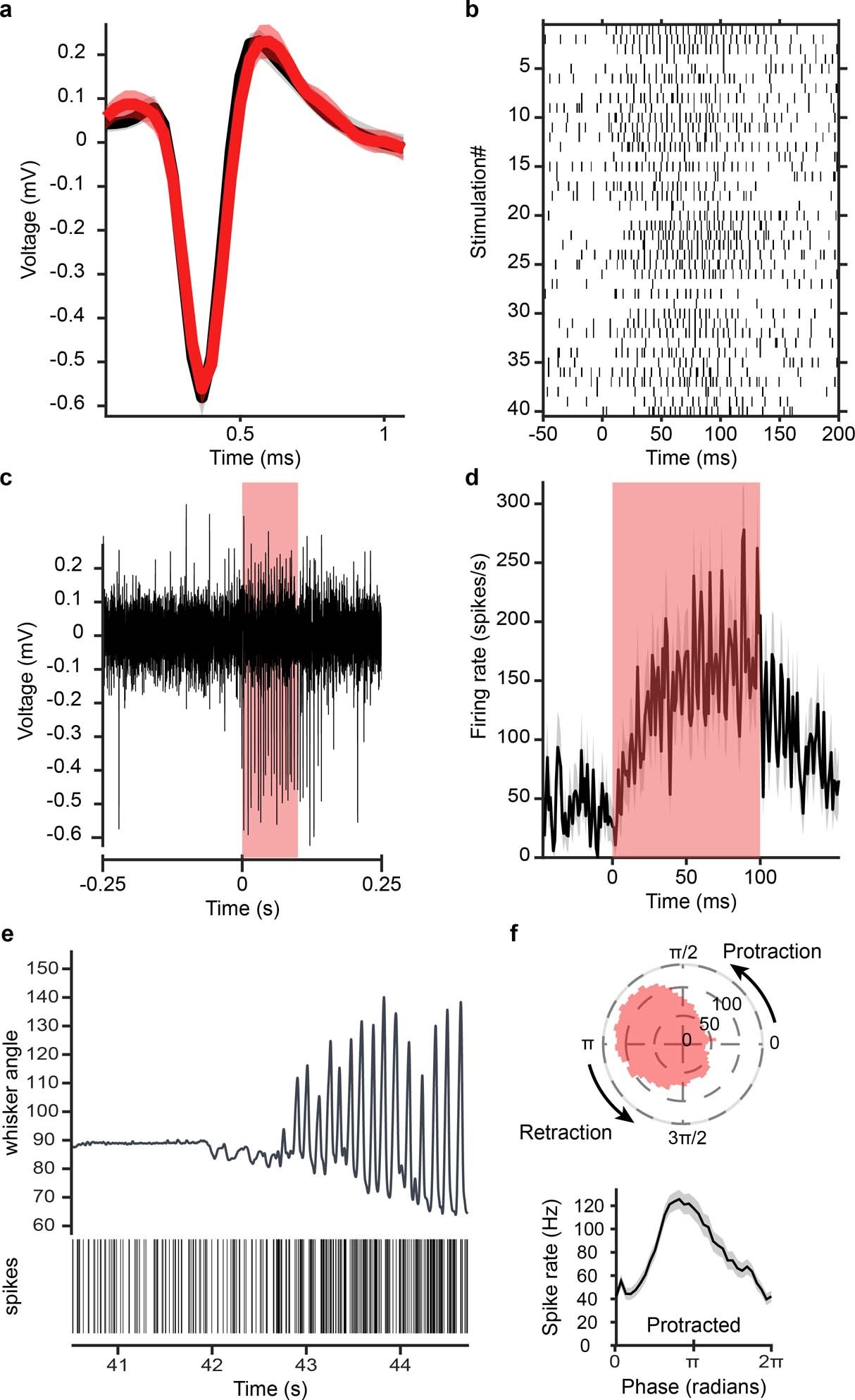 Extended Data Fig. 3: Antidromic opto-tagging of a ChRmine-expressing vIRtPV neuron via light stimulation through the ear.