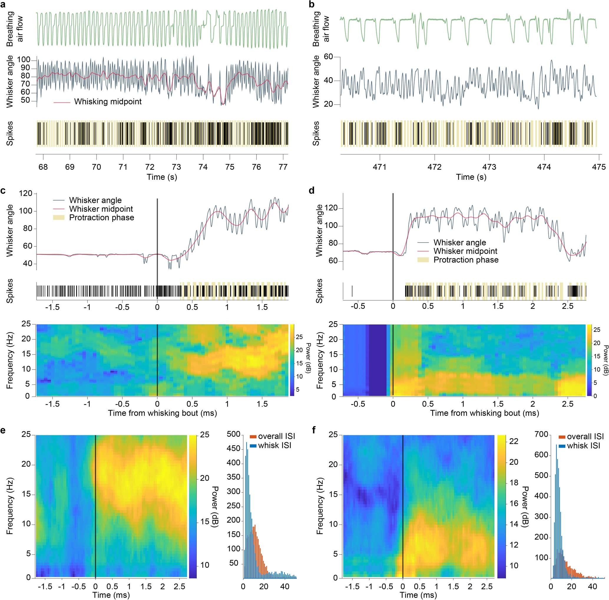 Extended Data Fig. 4: Slow oscillation vIRt units and additional analysis of transition from tonic to rhythmic firing of vIRt units.