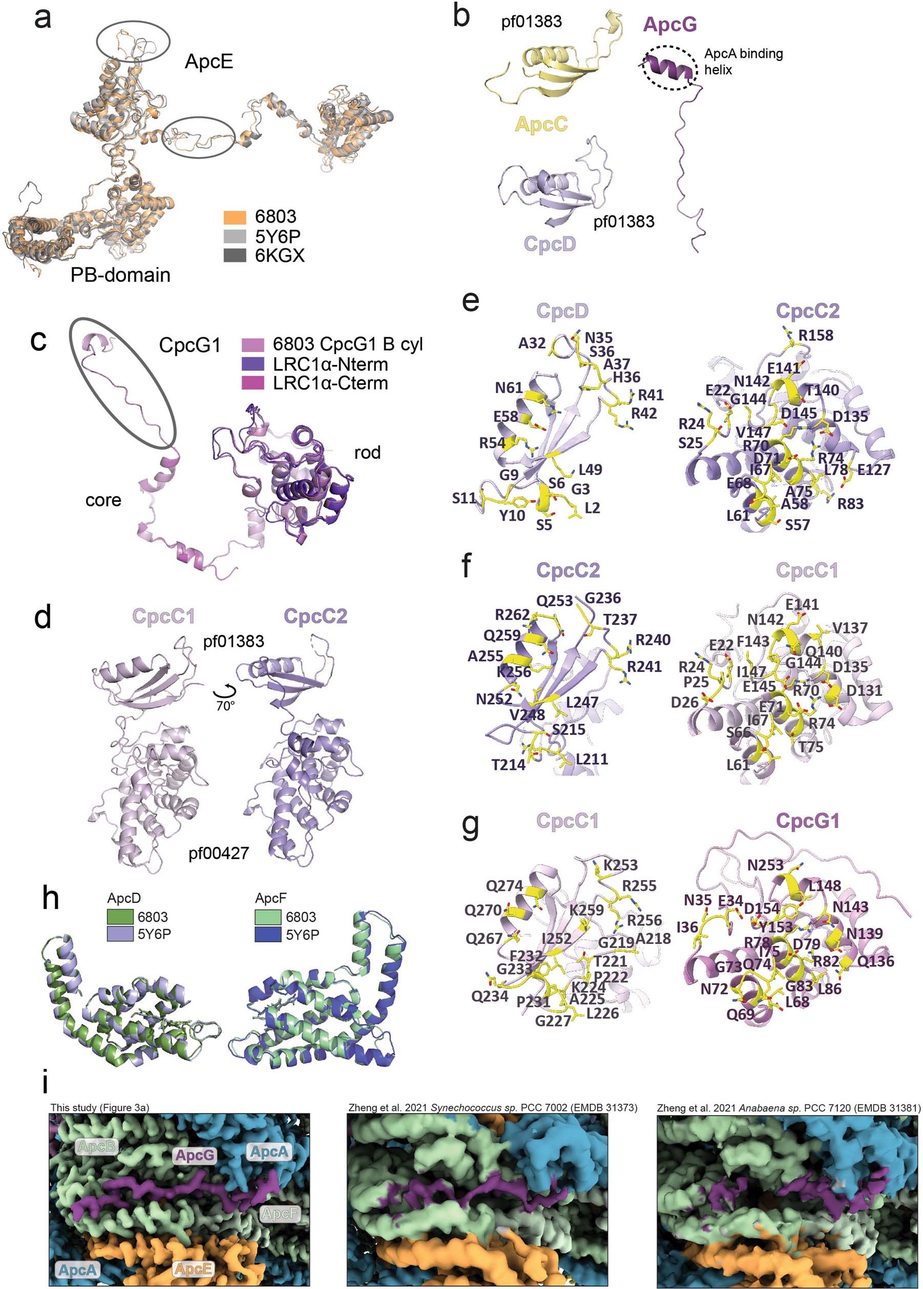 Extended Data Fig. 10: Molecular details of the PBS.